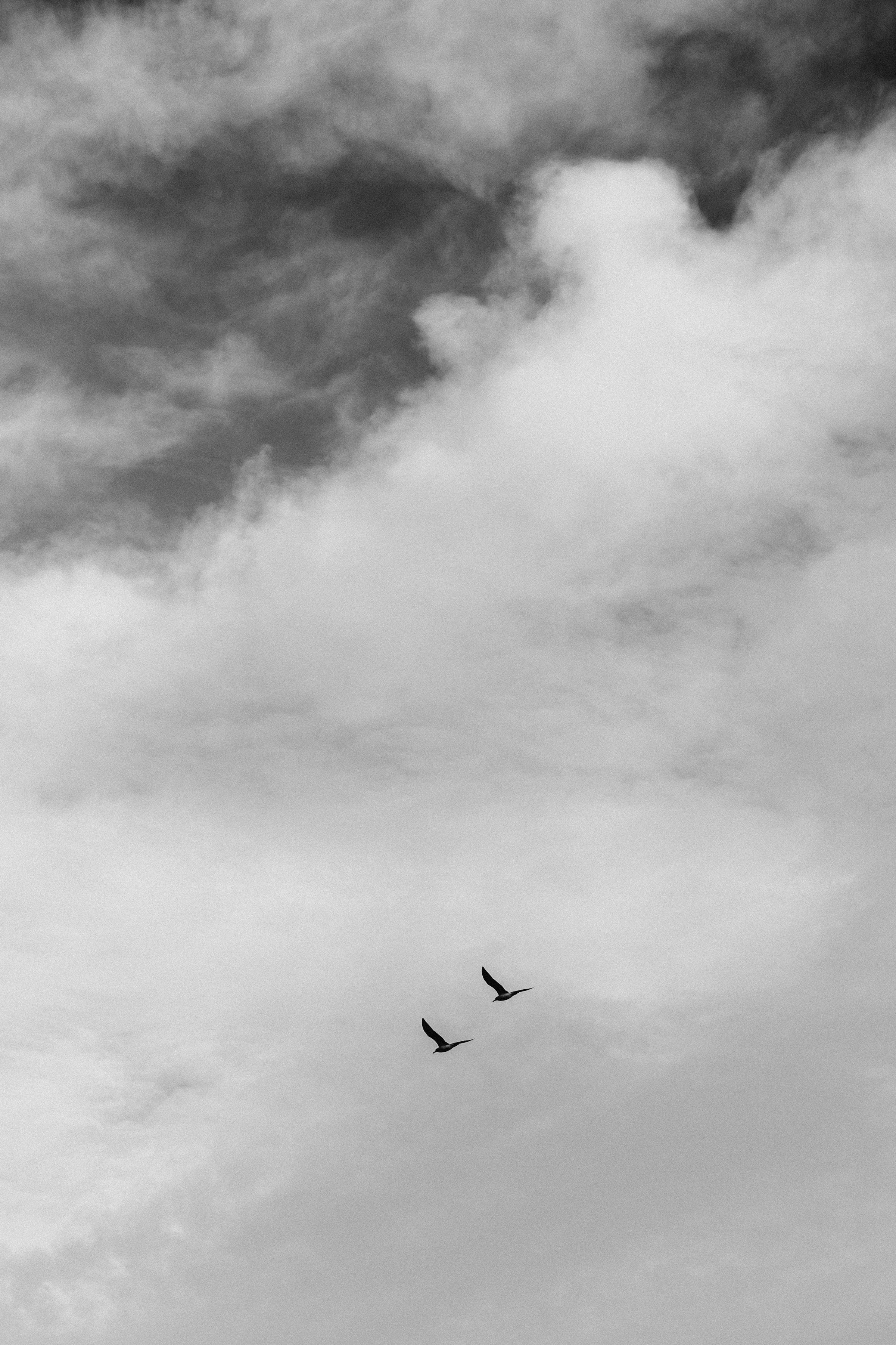 Антон и Даша в ожидании. Семейный фотограф в Волгодонске Краченцева Анна