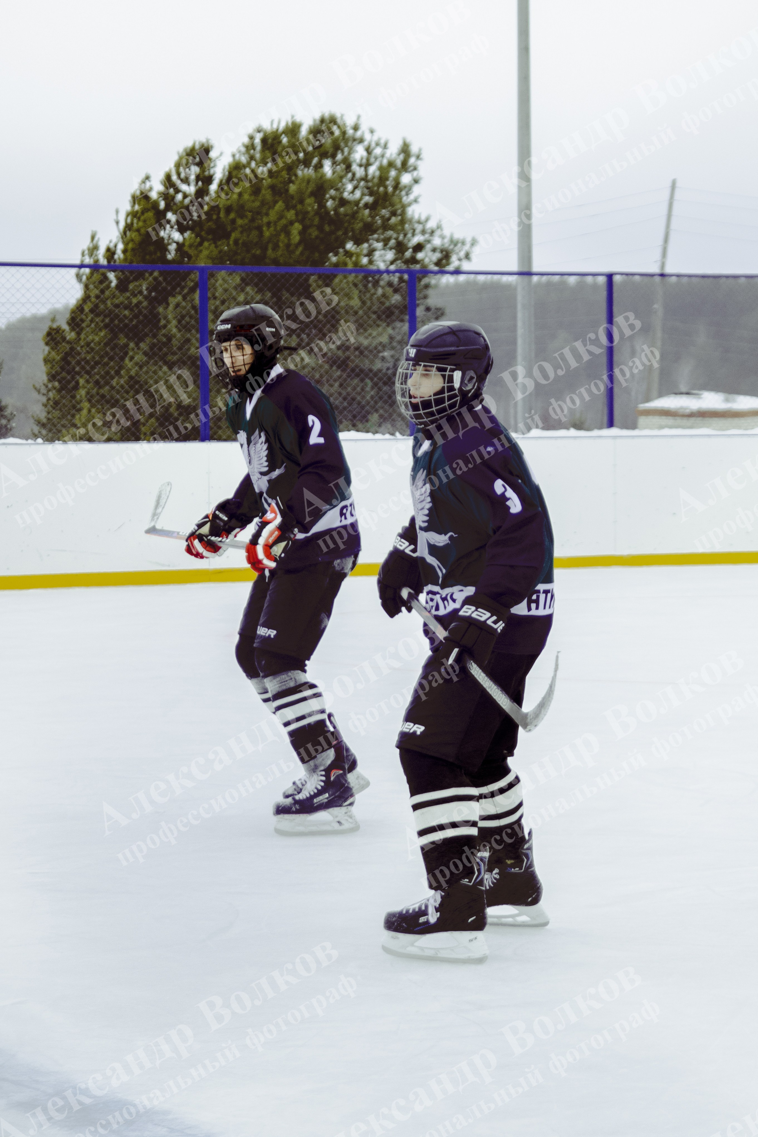 Хоккей 29.12.2024