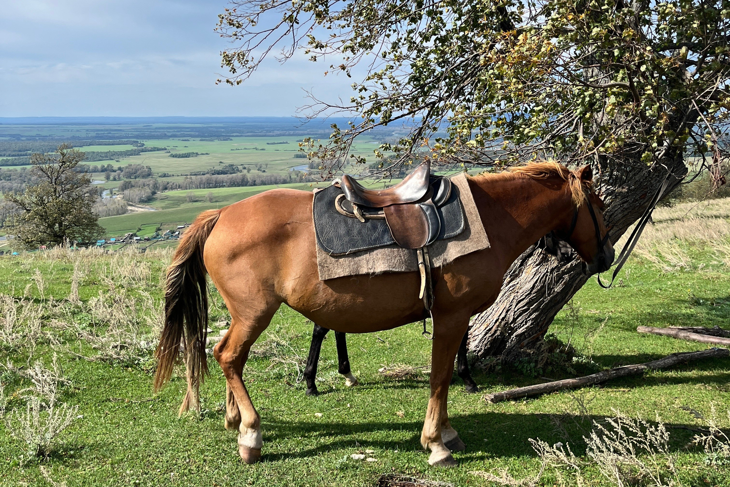 Конный тур к скале Уклы-Кая из Уфы — Время приключений