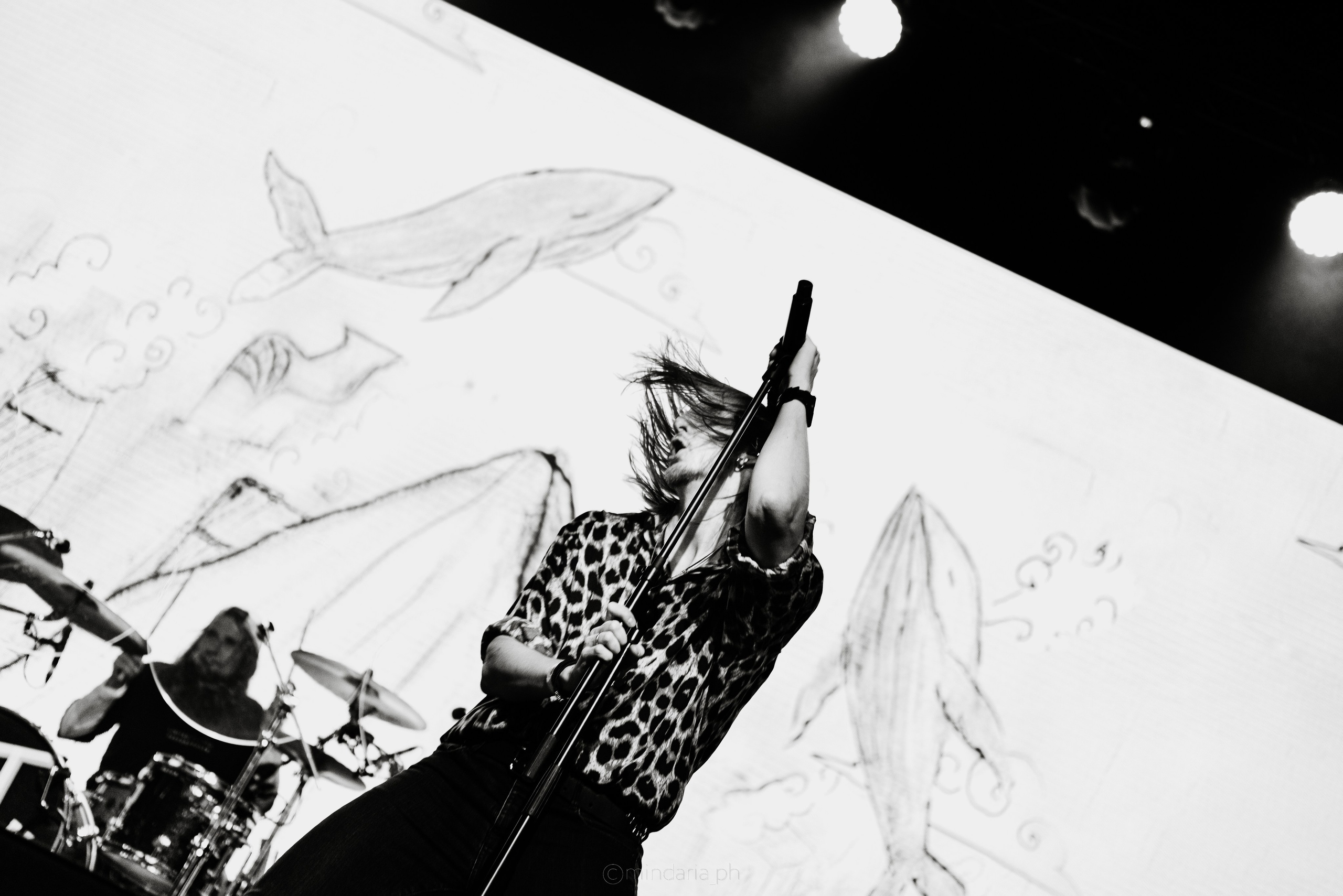 Операция Пластилин, 16.11.2025. Фотоведьма Дарья Нечинская