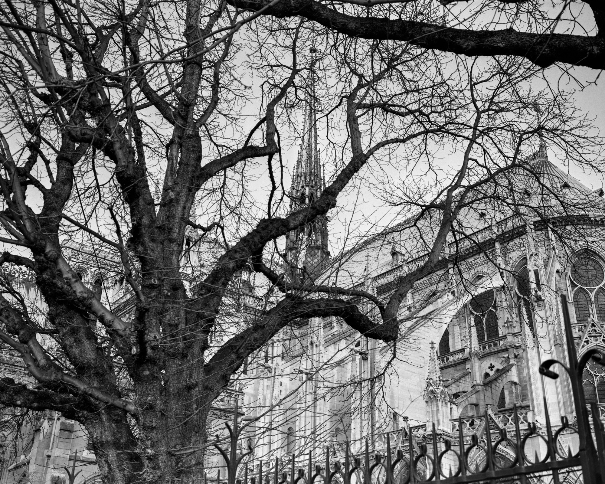 Memories of France. Документальный фотограф Алексей Мякишев, Москва