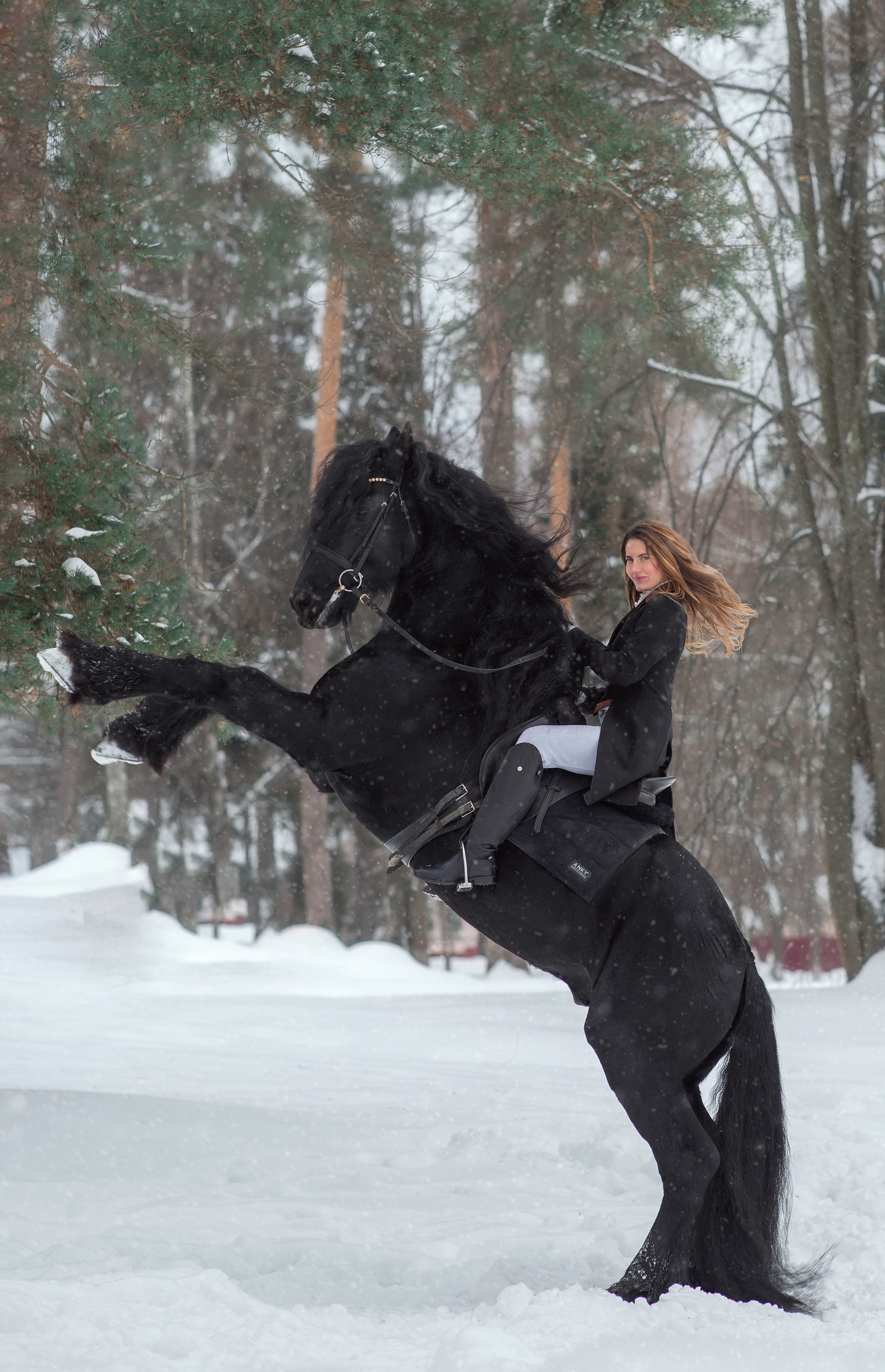 Конные съемки. Фотограф в Москве Ольга Борзова