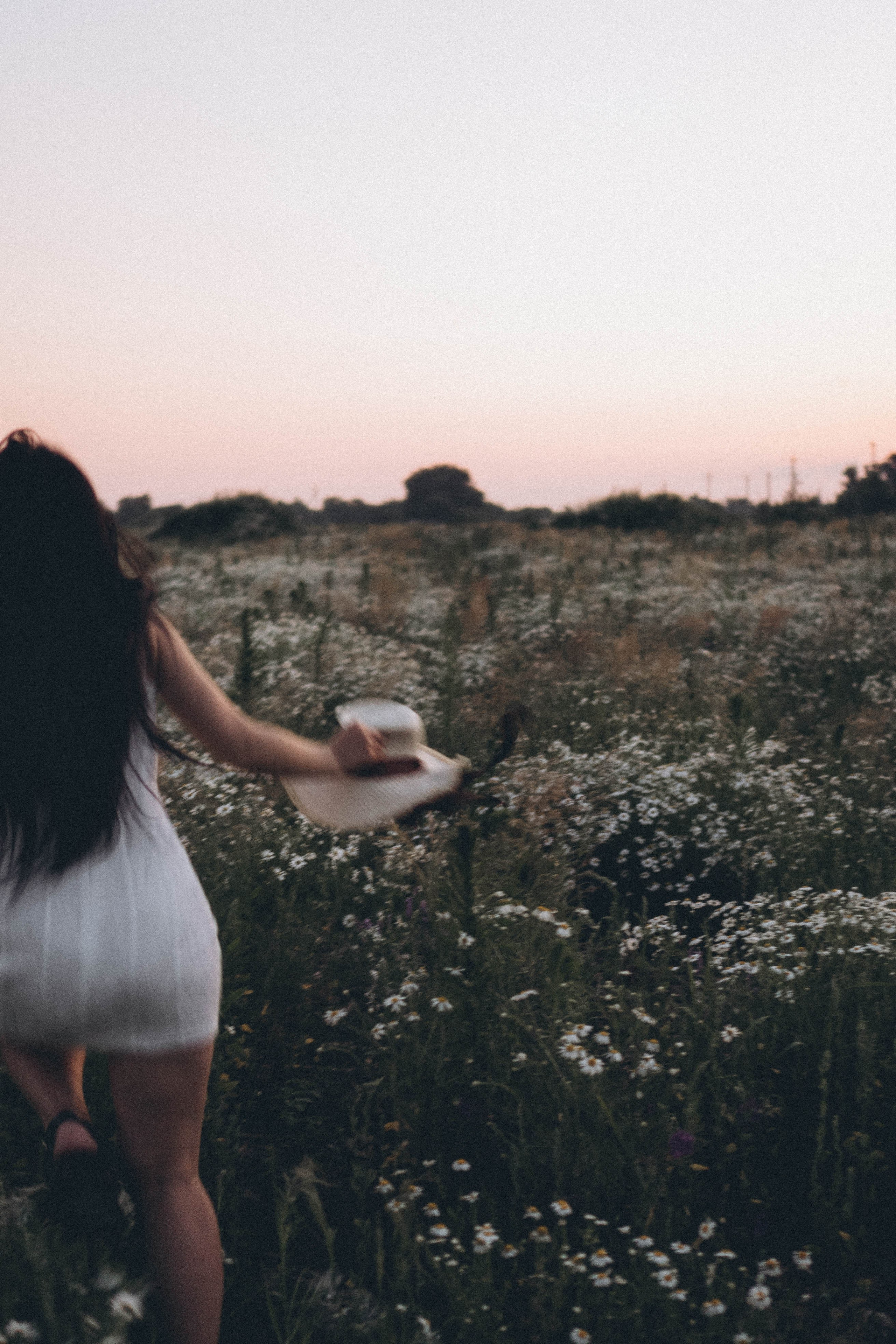 Ромашковое поле. Профессиональный фотограф, Санкт-Петербург — Виктория Богомолова