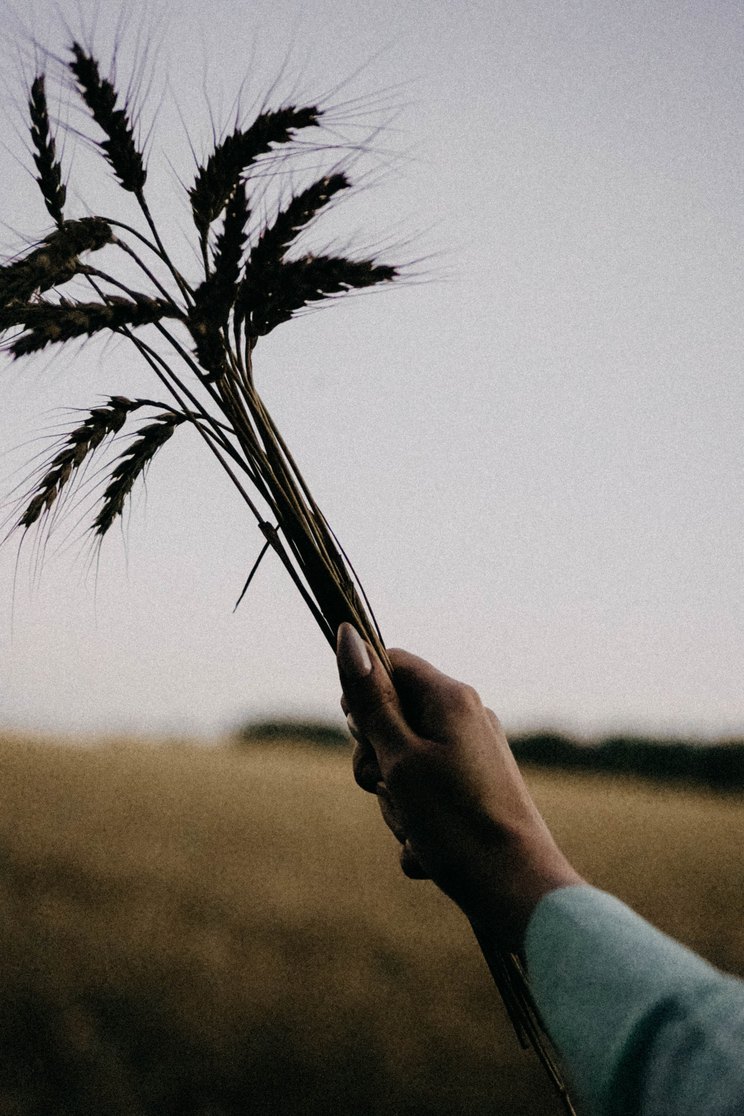 Летний вечер. Профессиональный фотограф, Санкт-Петербург — Виктория Богомолова