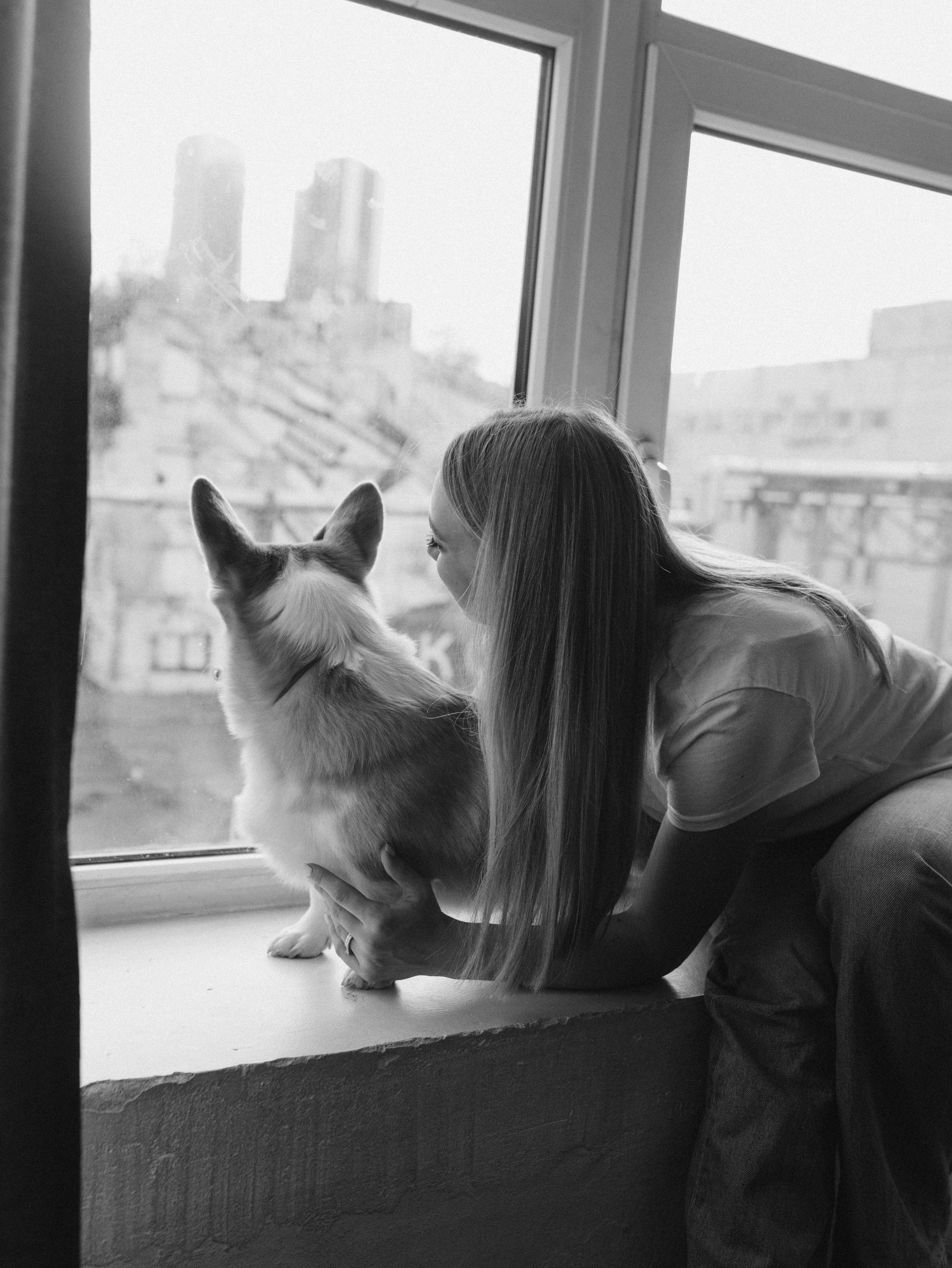 Оливка и Ника. Фотограф-анималист в Москве Кириллова Татьяна