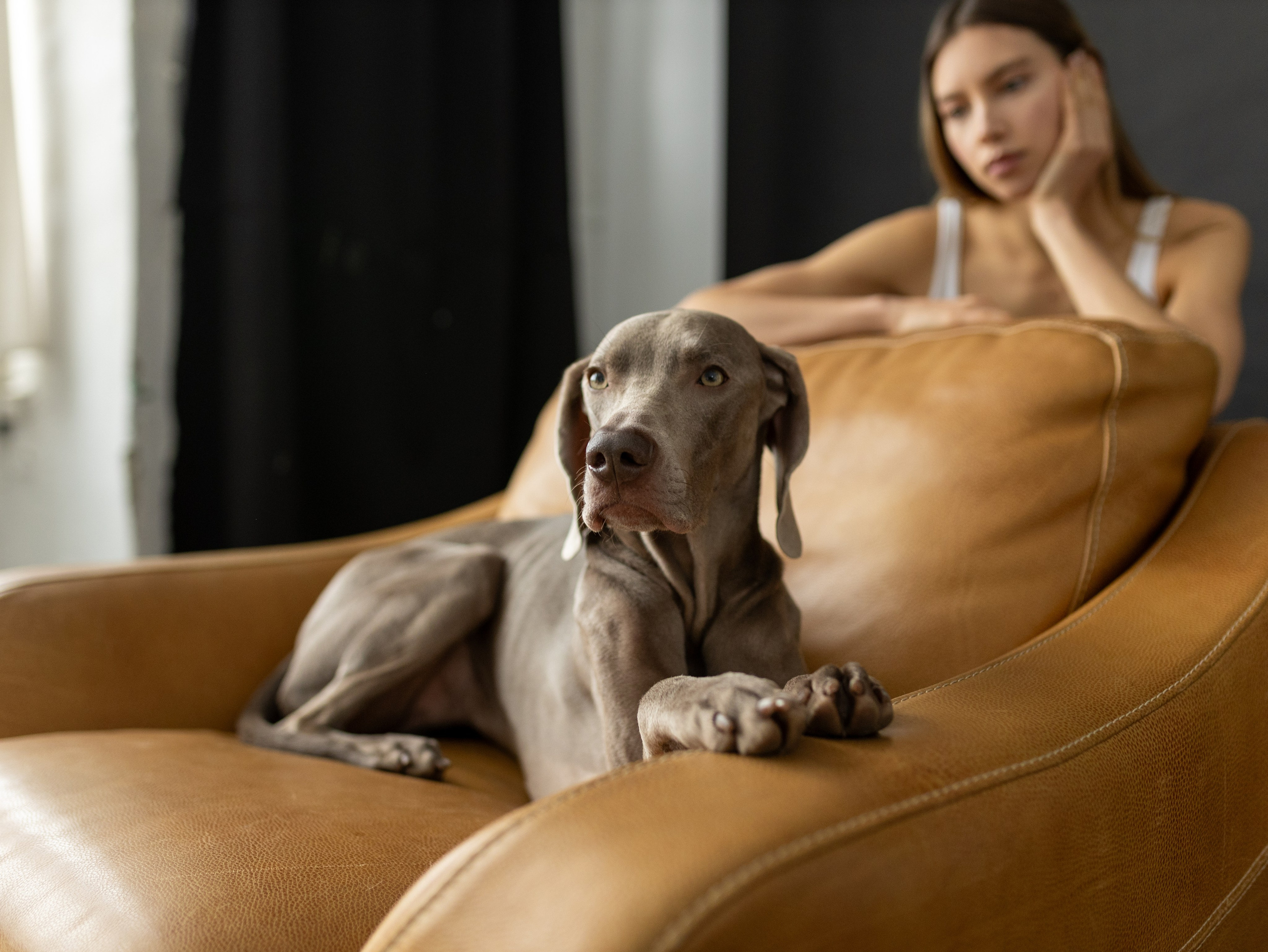 Сенча и Даша. Фотограф-анималист в Москве Кириллова Татьяна