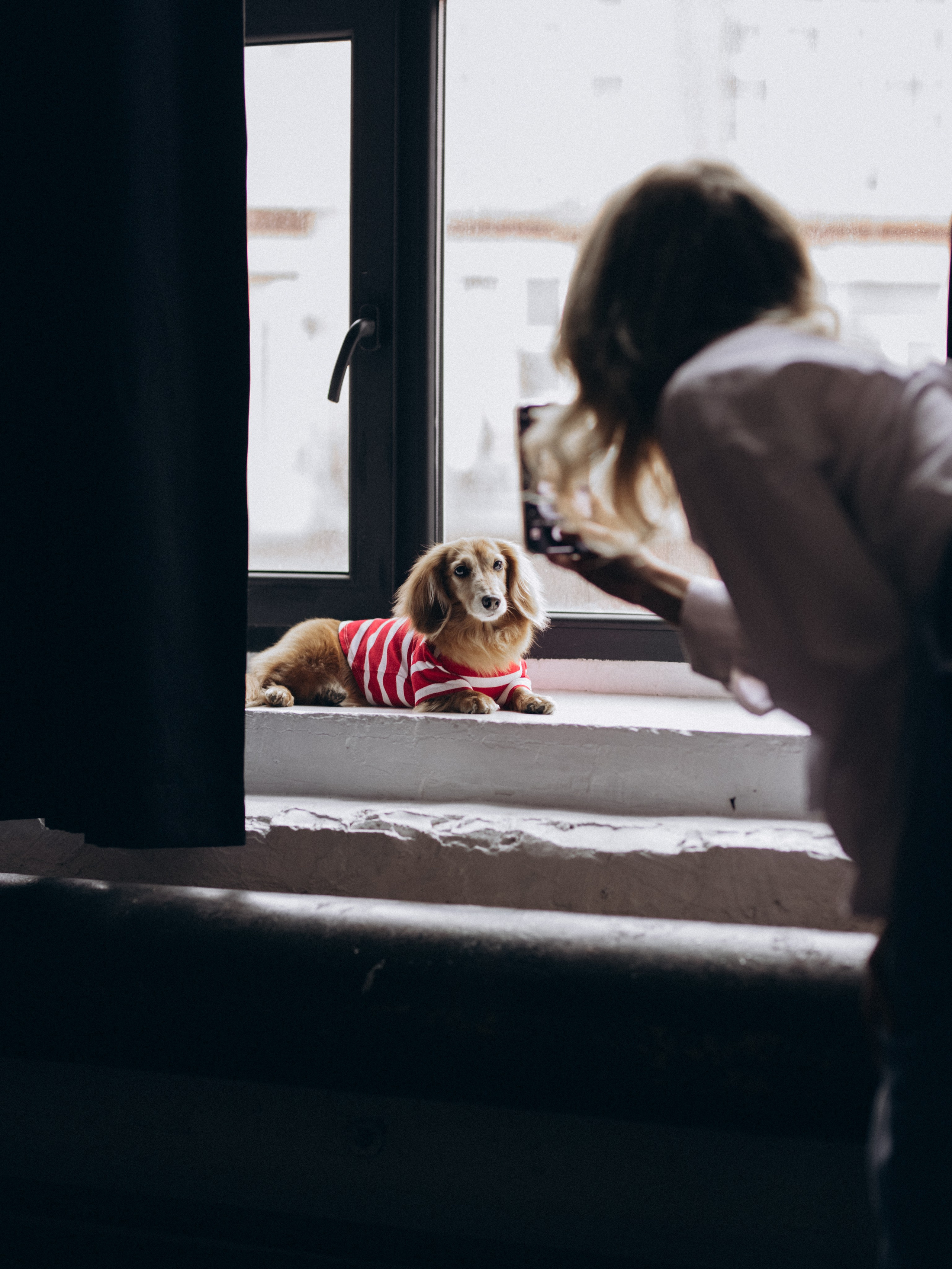 Лимон и Аня. Фотограф-анималист в Москве Кириллова Татьяна