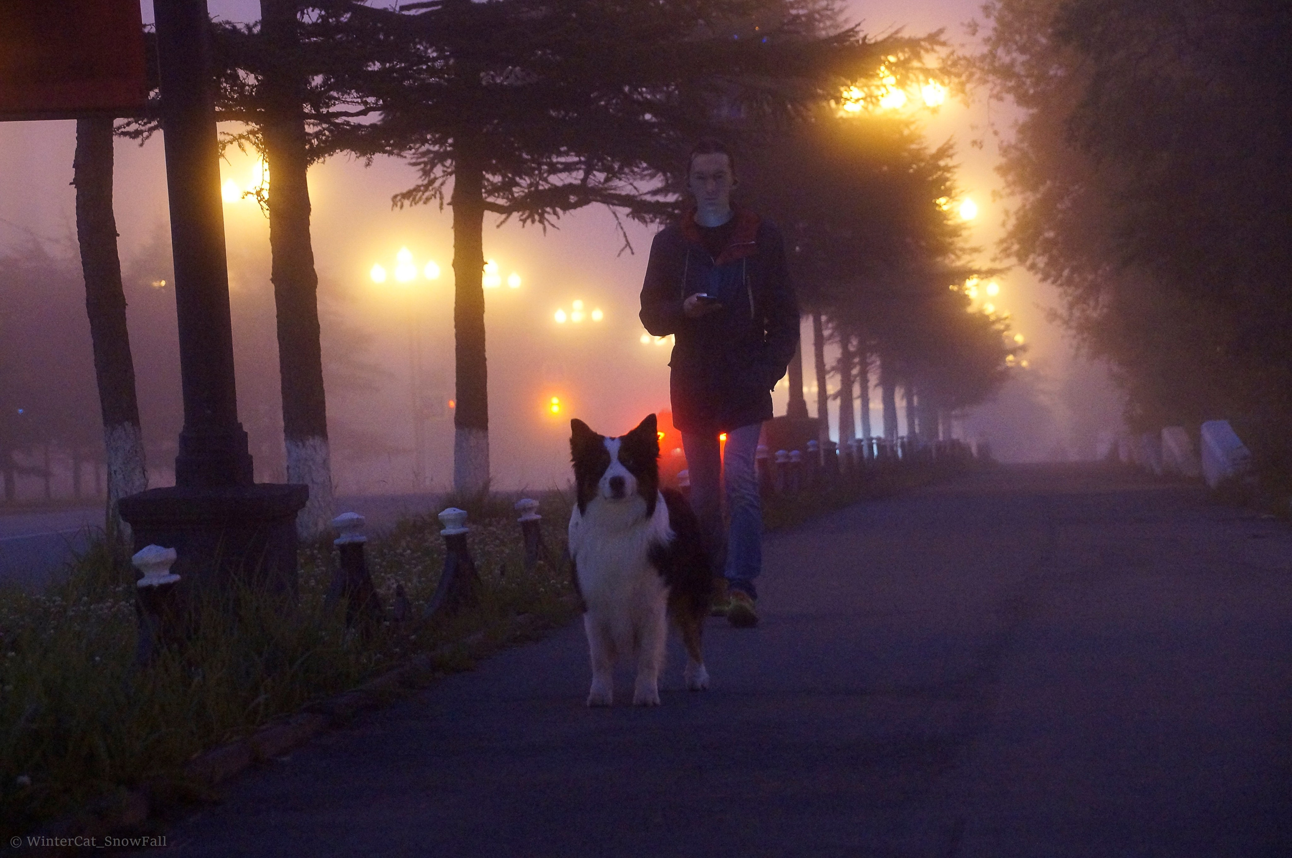 Съемки. Портретный и репортажный фотограф в Магадане Андрей Нефедов WinterCatPhoto