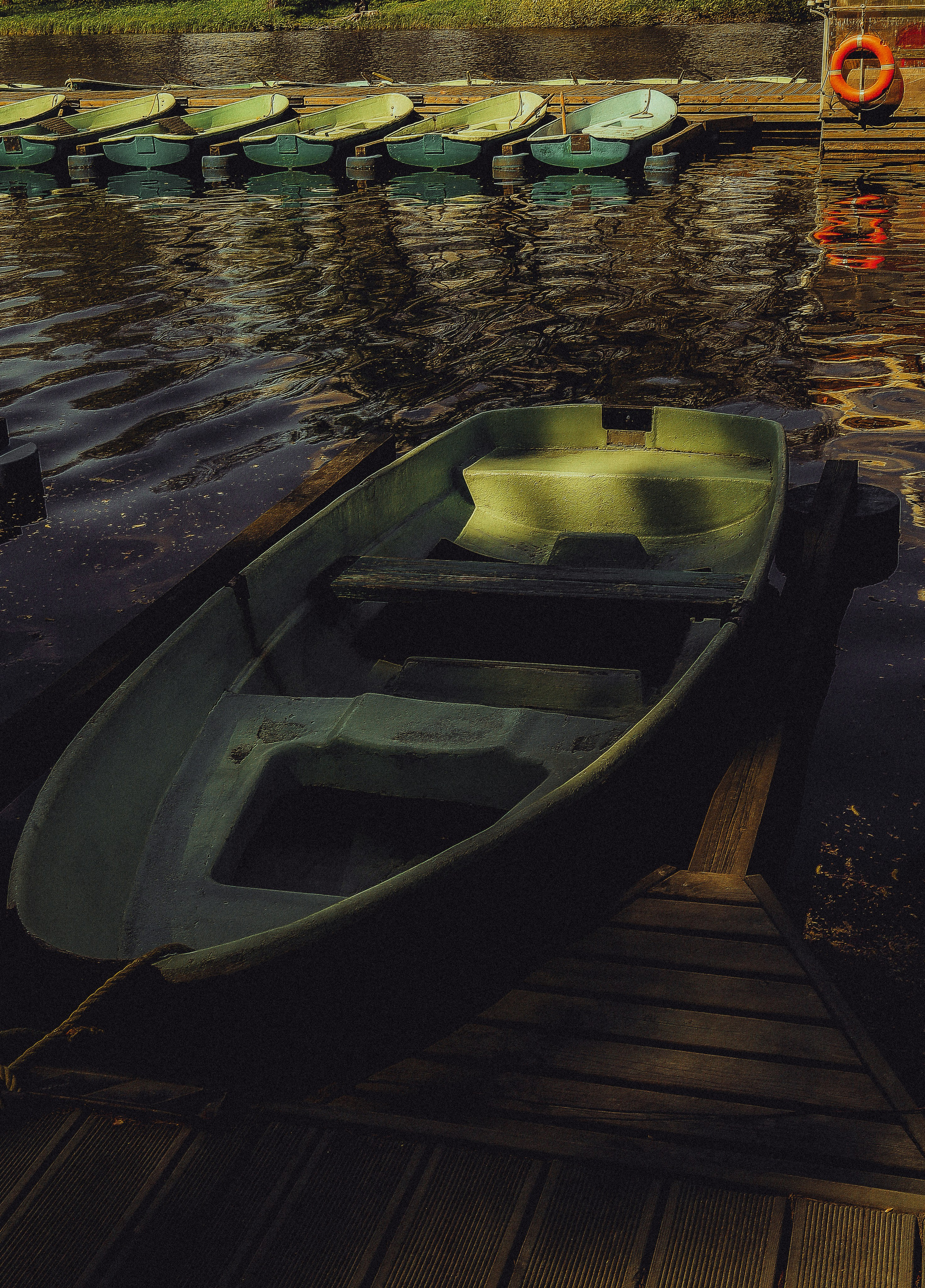 Природа &. Фотохудожник в СПб