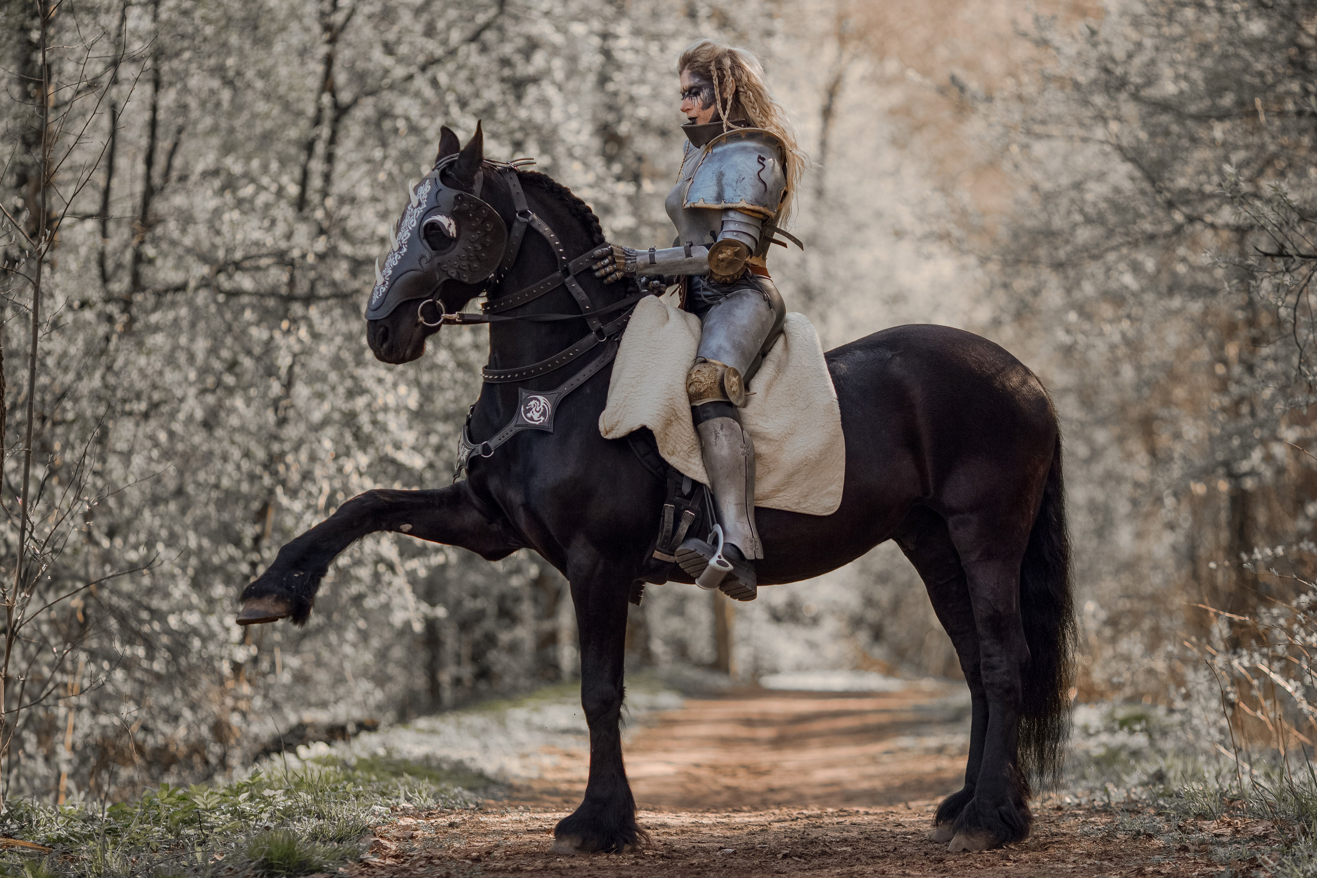 Фотосессия в рыцарских доспехах с лошадью