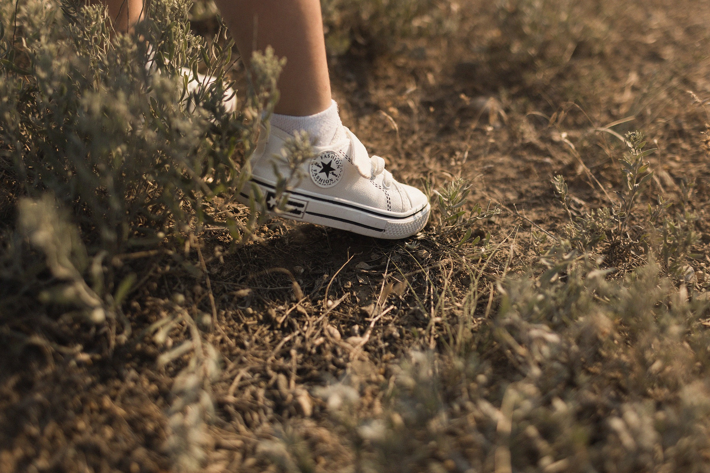 На вершине. Sovushka DS