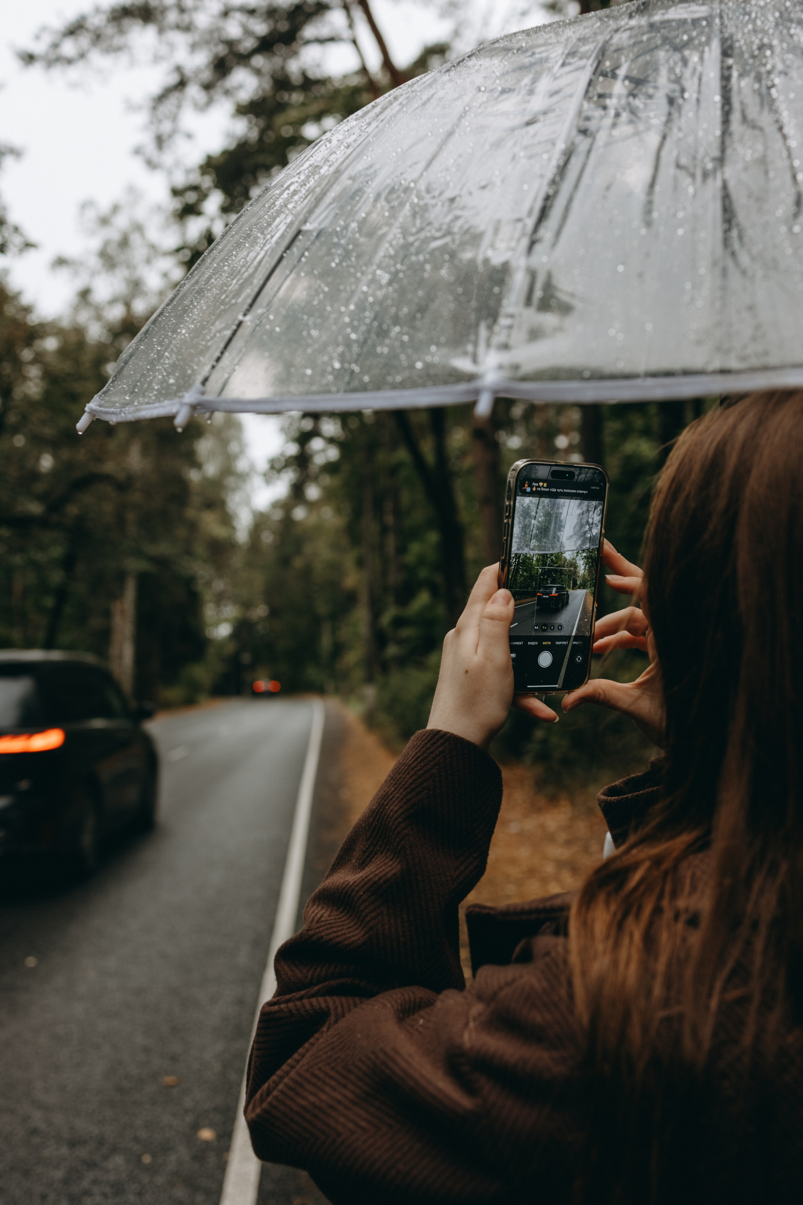 Жу и ее семья. Фотограф — Анималист | Санкт-Петербург