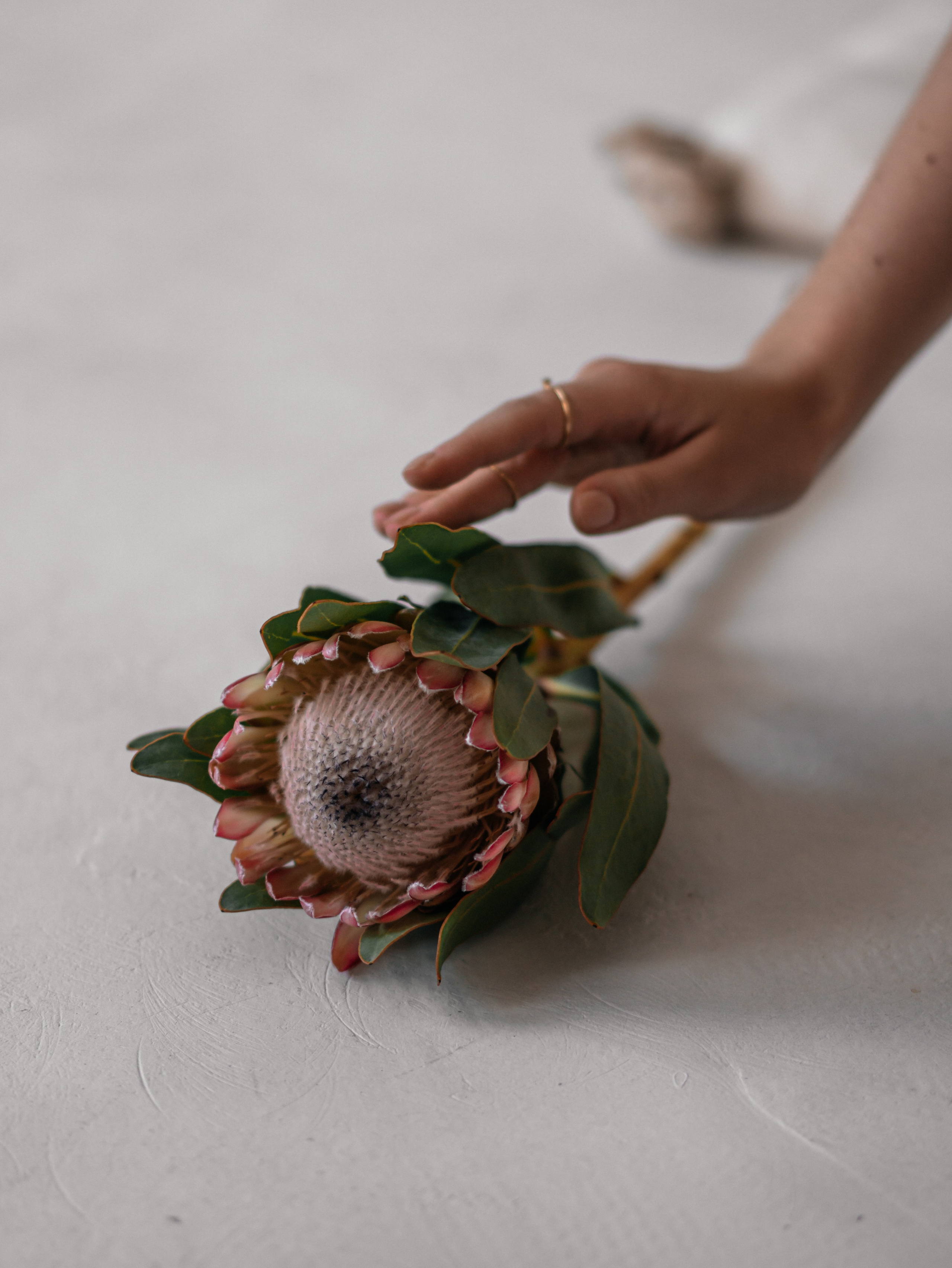 Марьяна. Валерия Булыгина | Фотограф