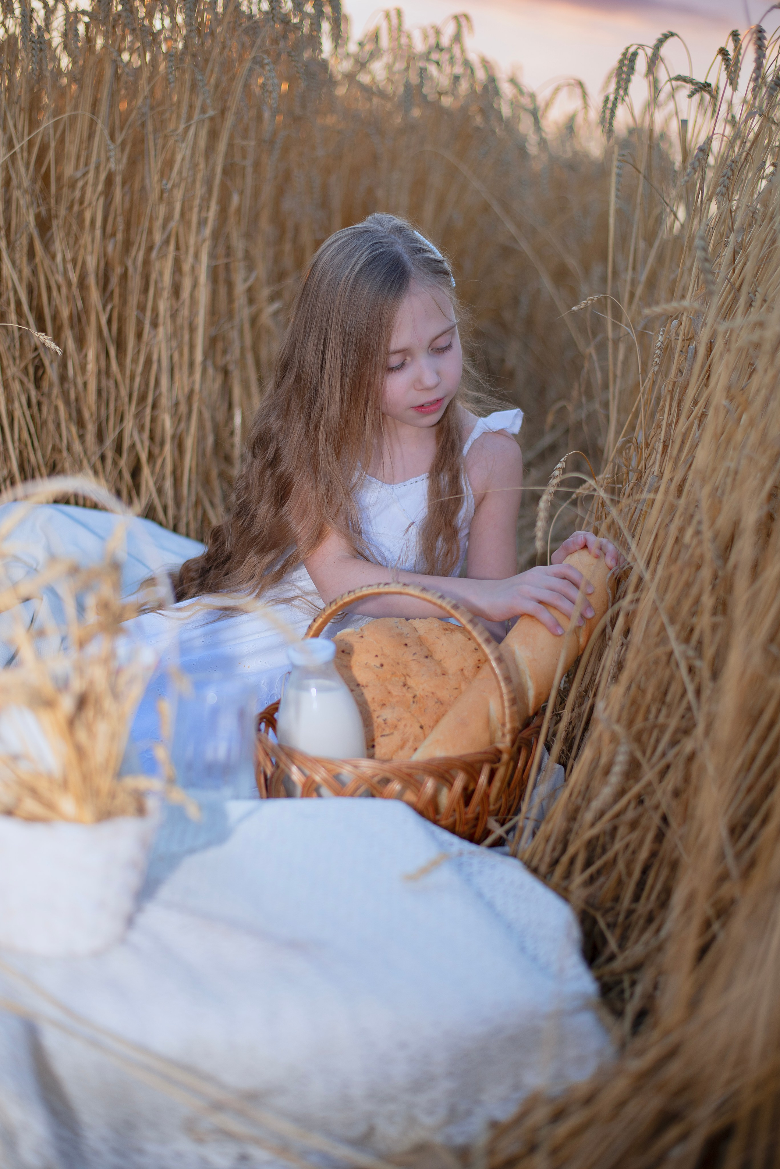 Пшеница. Главная