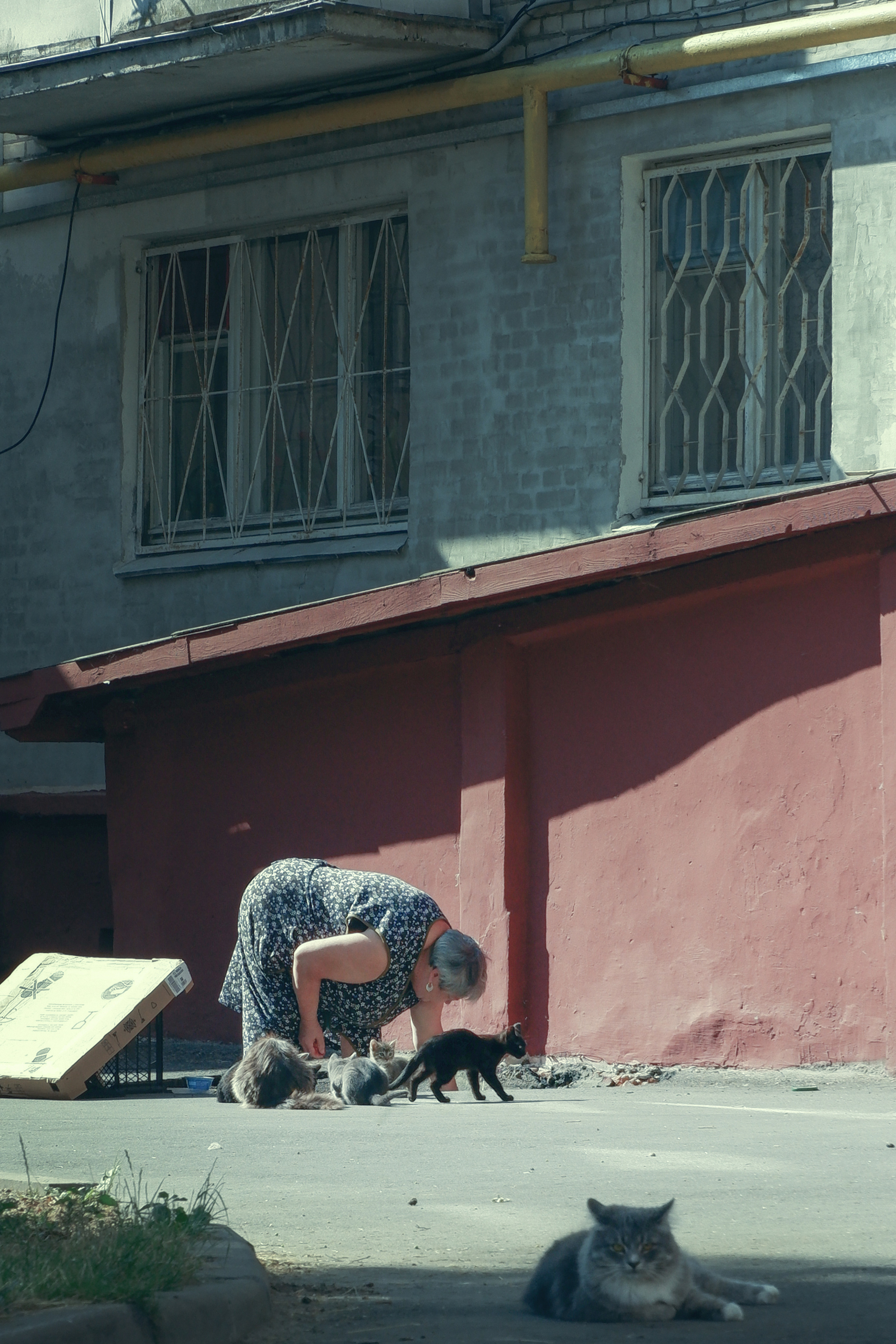 Street photo. Фотограф (photographer) Lischinski Vitaliy