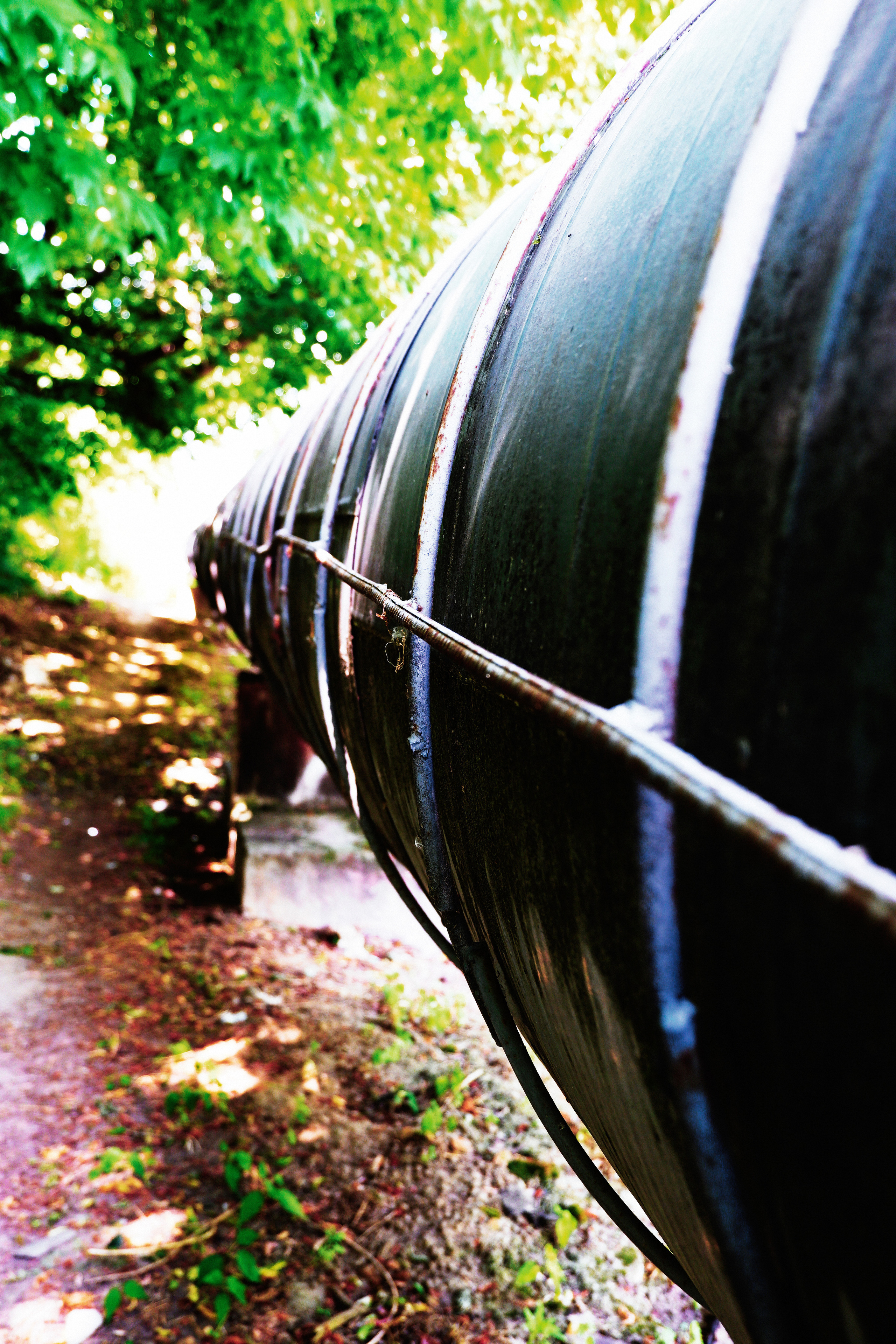 Фото отчет с вело прогулки клиента. Фотограф (photographer) Lischinski Vitaliy