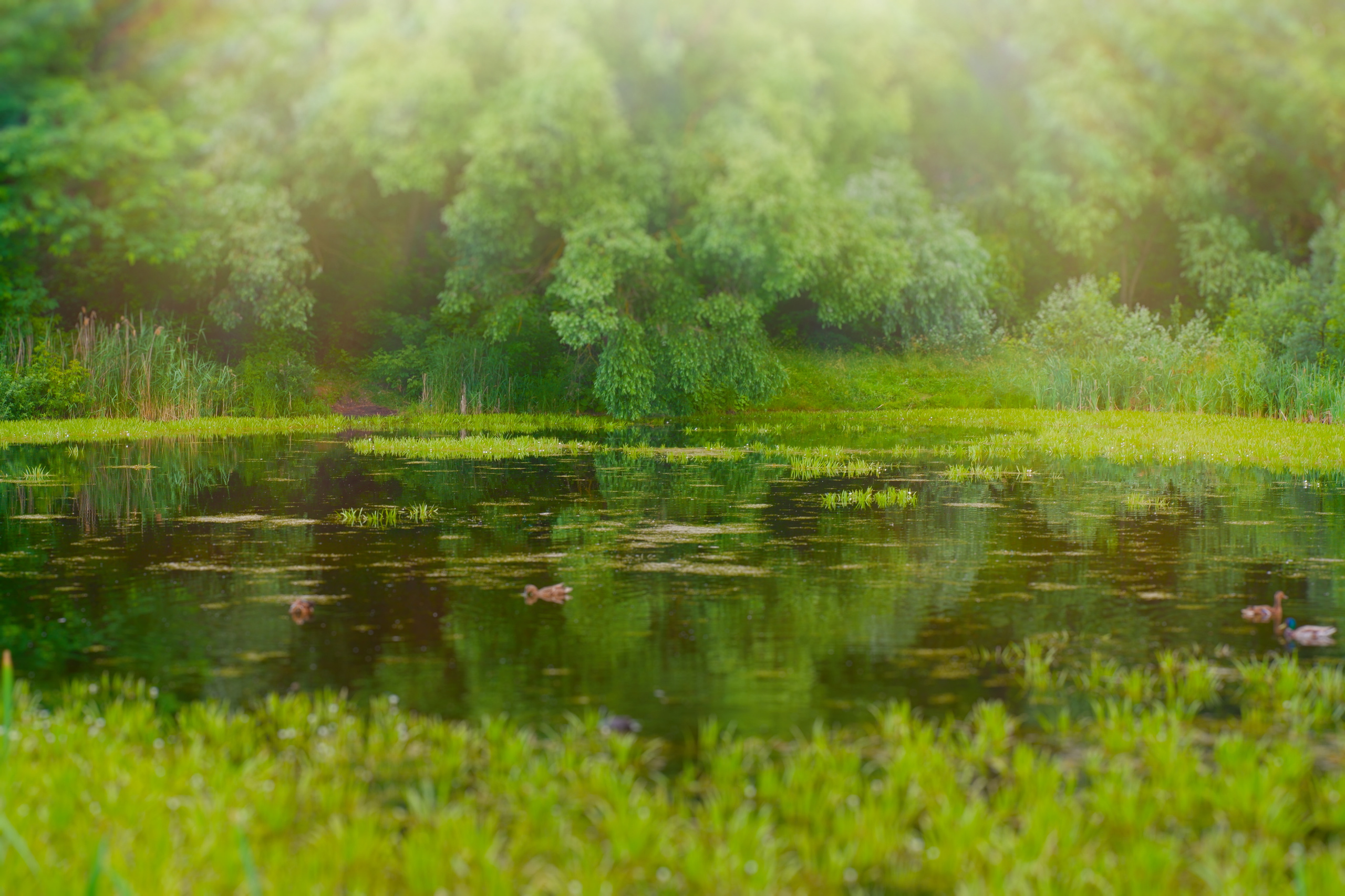 Фото отчет с вело прогулки клиента. Фотограф (photographer) Lischinski Vitaliy