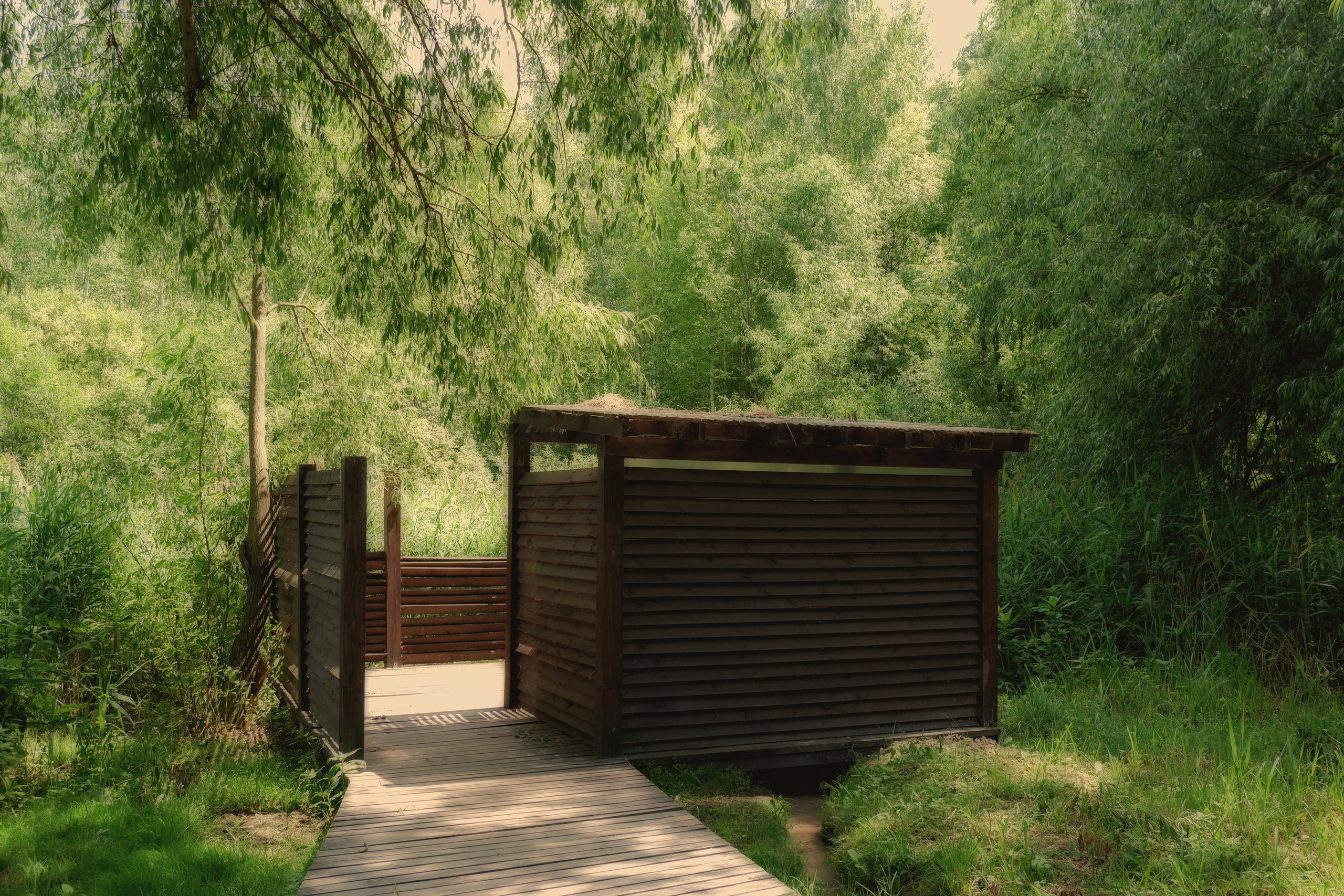 Фото отчет с вело прогулки клиента. Фотограф (photographer) Lischinski Vitaliy