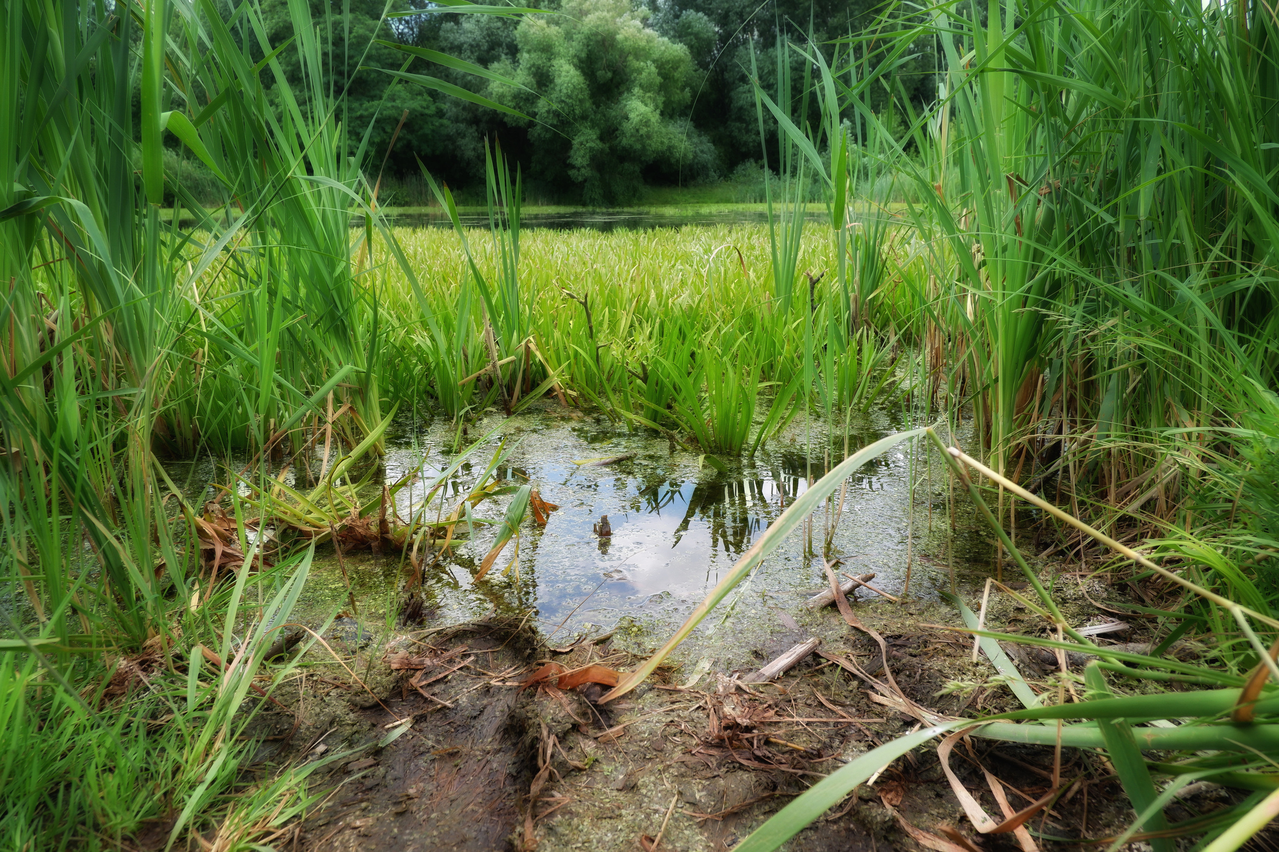 Фото отчет с вело прогулки клиента. Фотограф (photographer) Lischinski Vitaliy