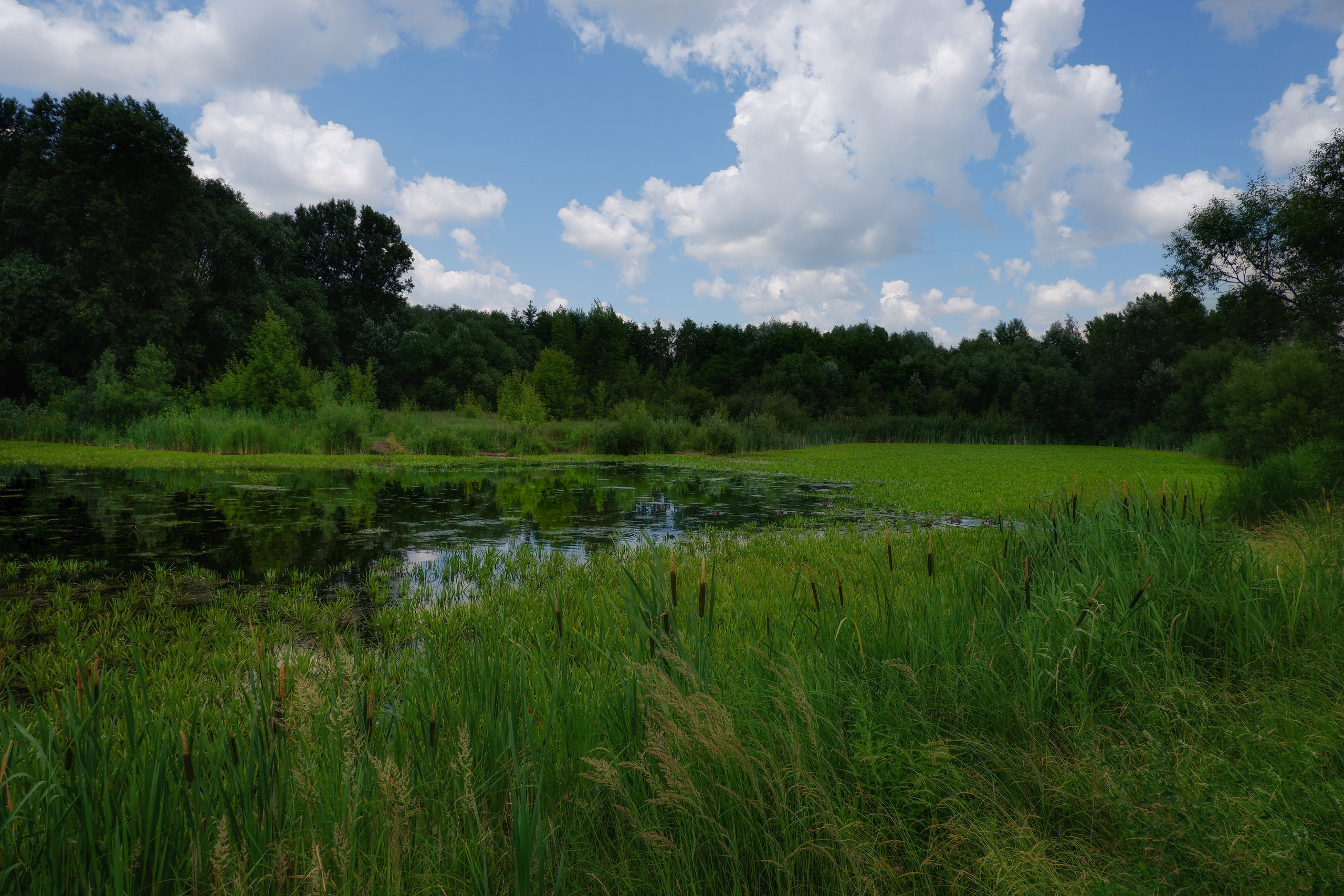 Фото отчет с вело прогулки клиента. Фотограф (photographer) Lischinski Vitaliy