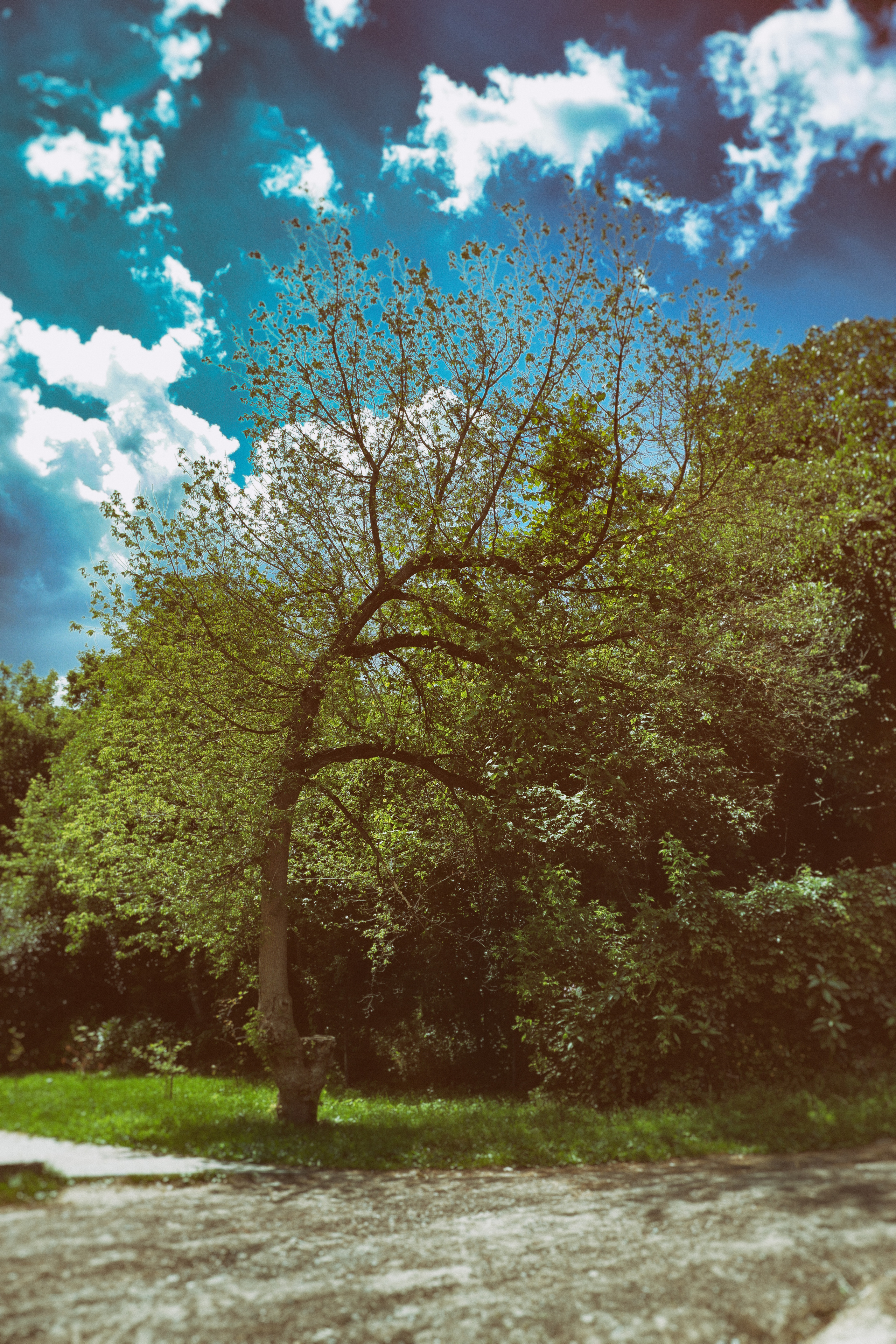 Фото отчет с вело прогулки клиента. Фотограф (photographer) Lischinski Vitaliy