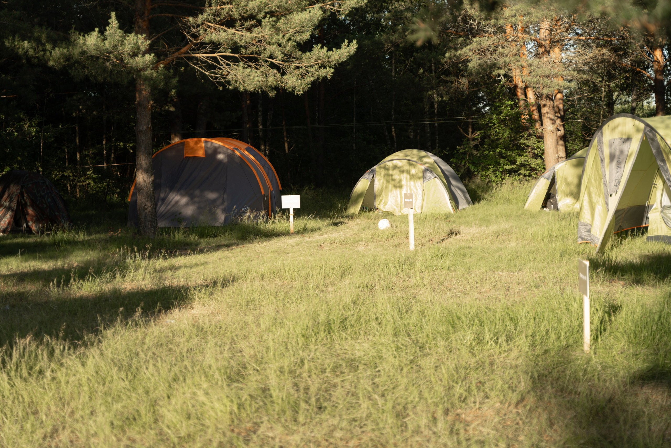 Эко-сборы добровольцев «О! Пушка» в национальном парке «Мещерский» 2024. Фотограф Надежда Погребняк | Рязань | Москва