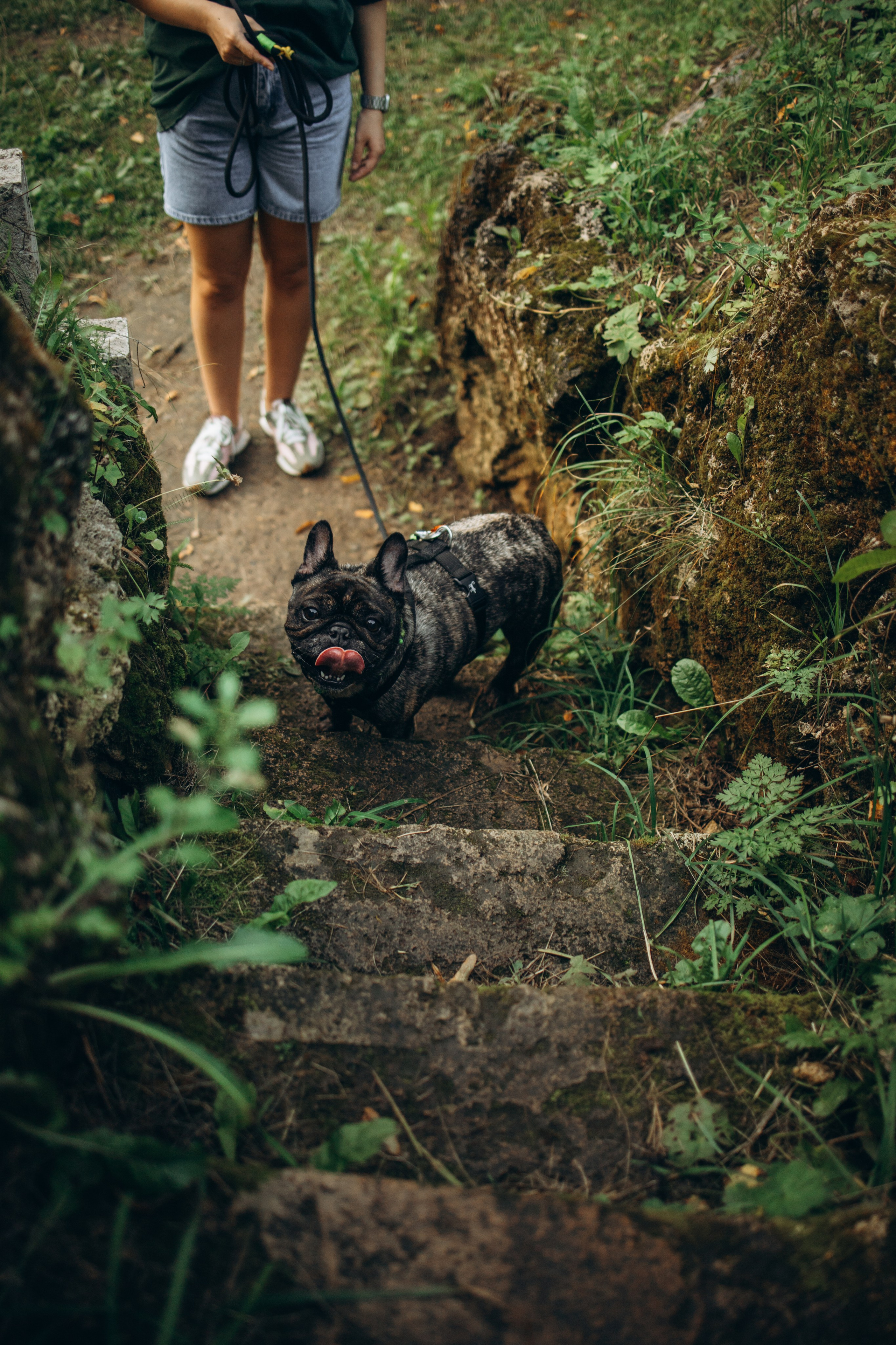 Олеся и Луи. Фотограф — Анималист | Санкт-Петербург