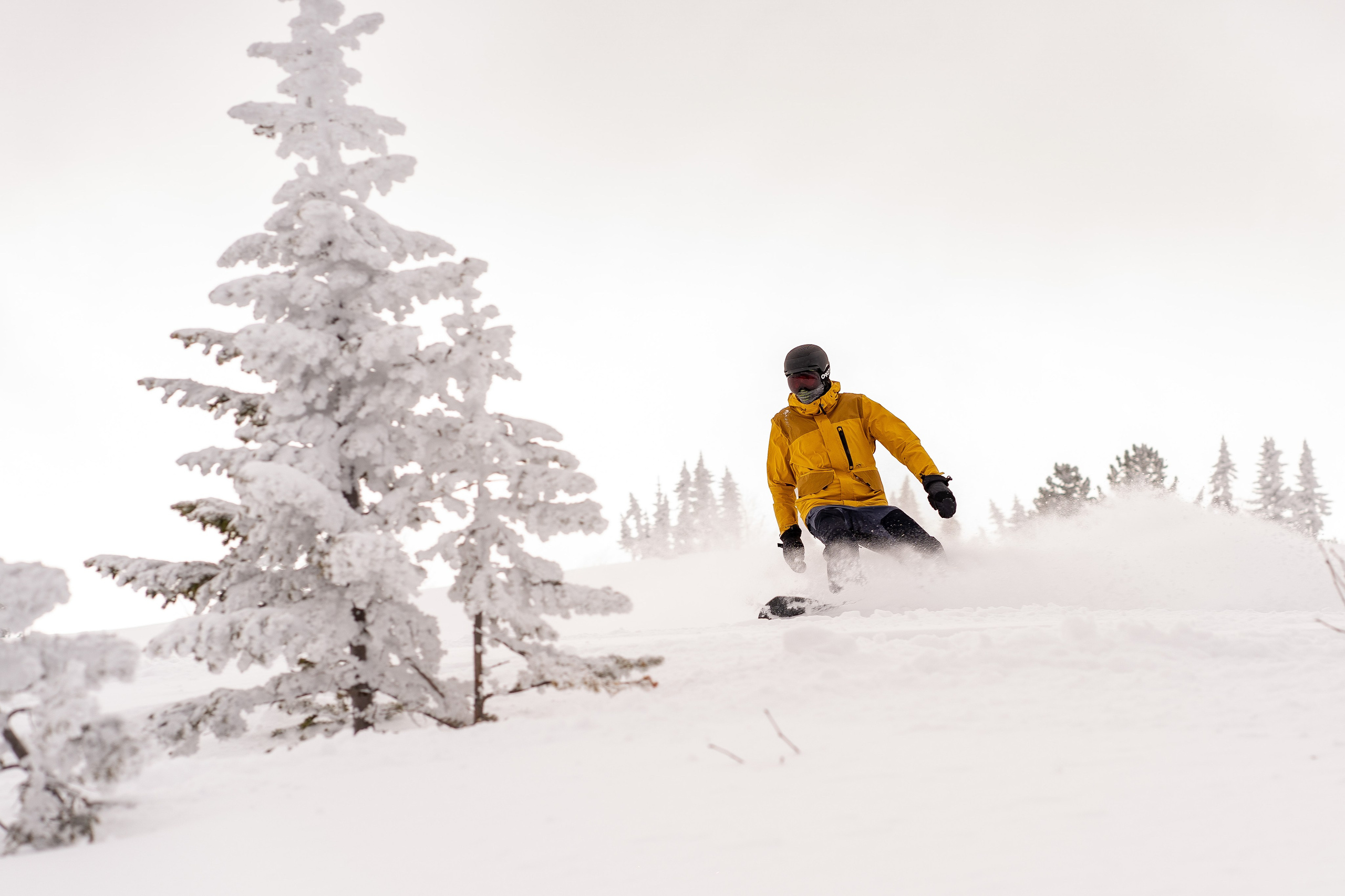 Фрирайд. Анастасия Паршукова — фотограф Шерегеш Новосибирск