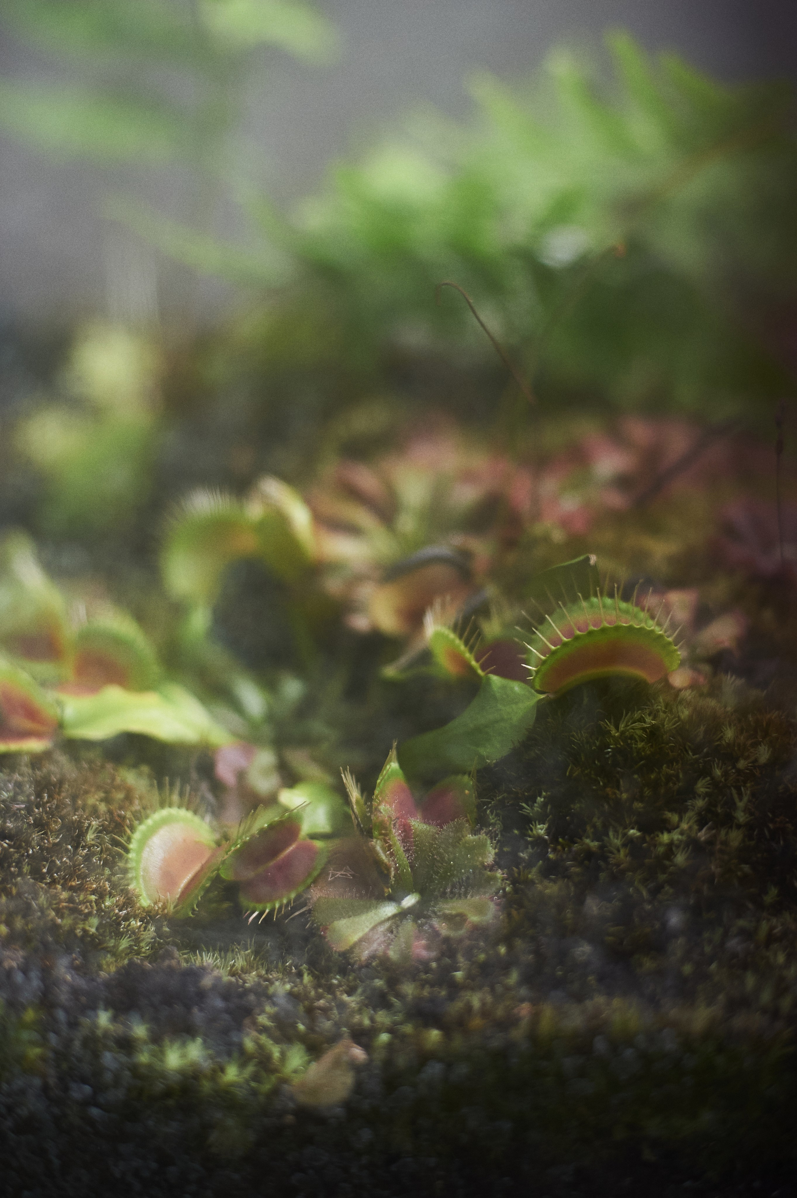 Эля. Портретный фотограф в Воронеже Вячеслав Буряк