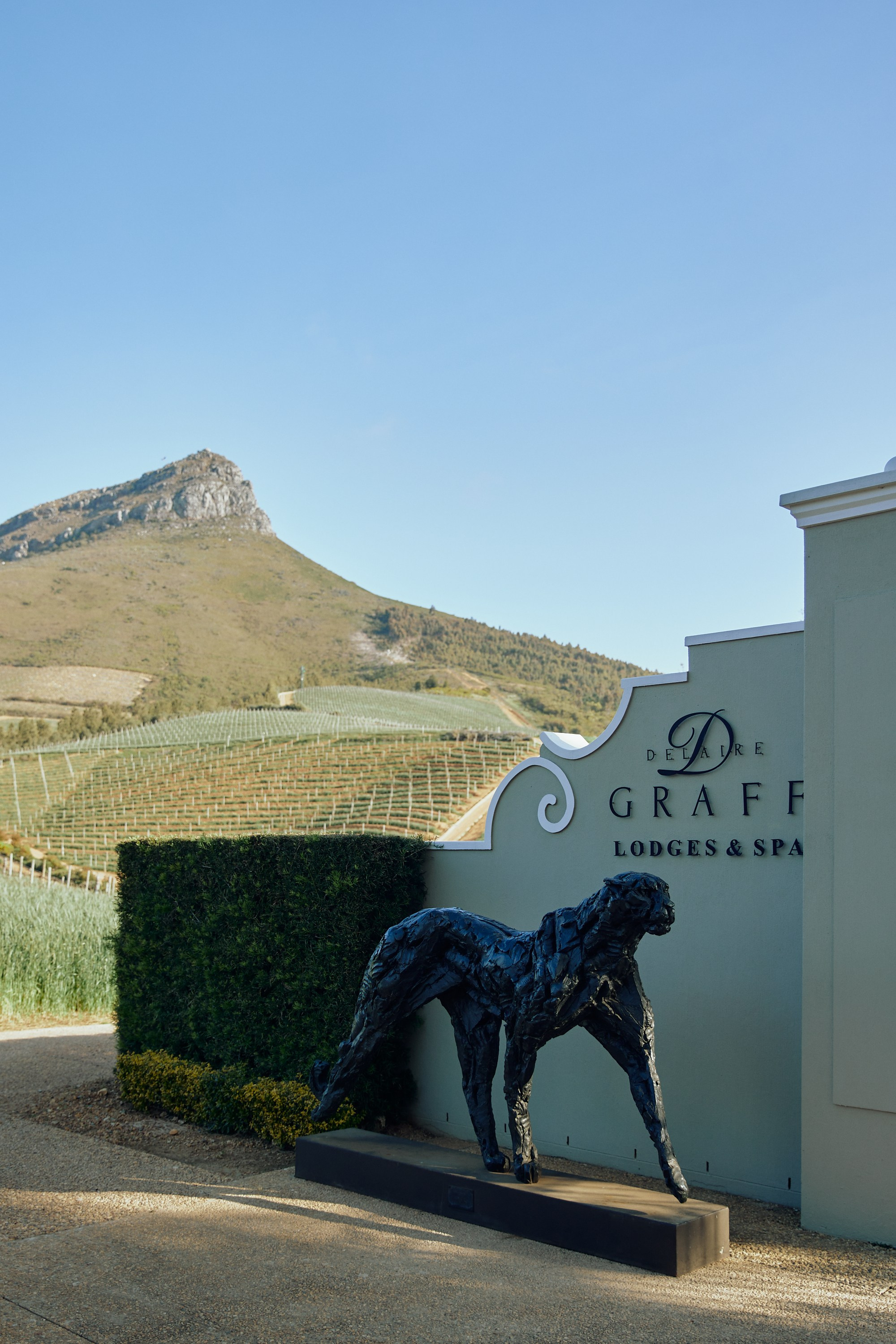 SOUTH AFRICA EMBA 38. Дмитрий Мазуркевич: Профессиональный Репортажный Фотограф