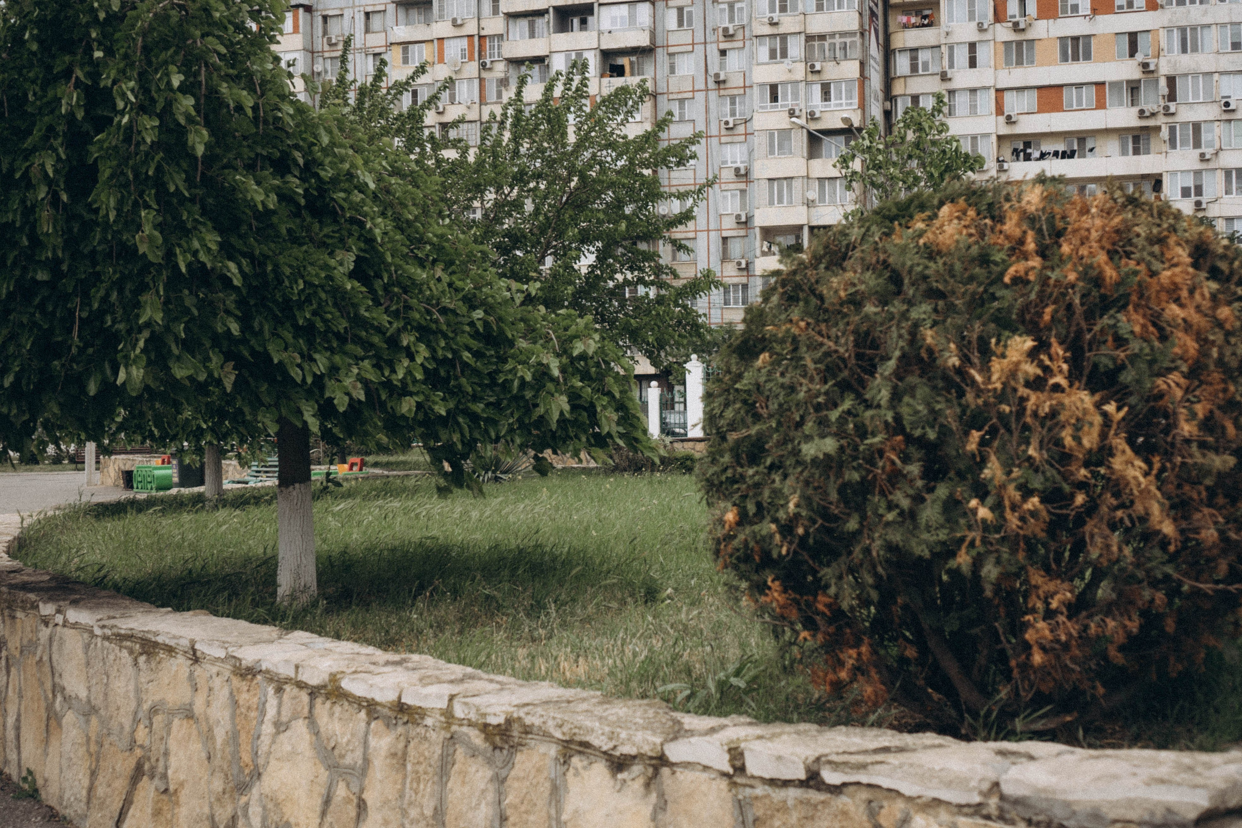 Кавказ. Профессиональный фотограф, Санкт-Петербург — Виктория Богомолова