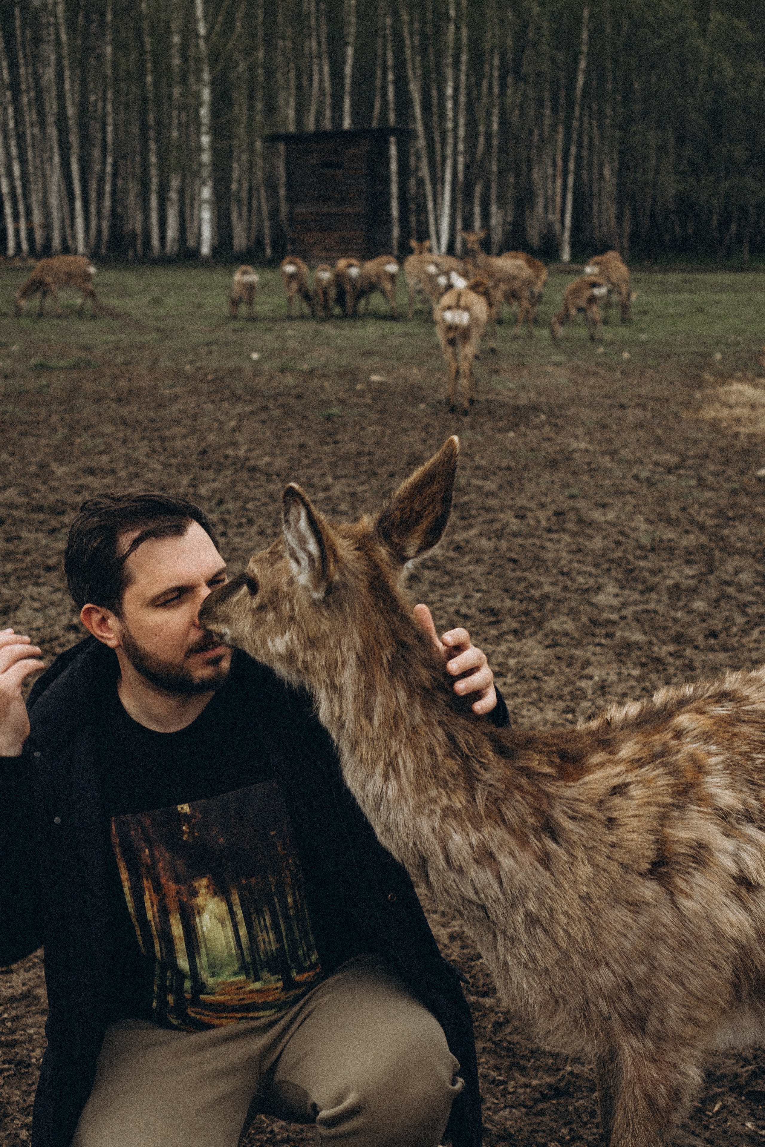 ОЛЕНЬЯ ФЕРМА В ТВЕРИ. Профессиональный фотограф, Санкт-Петербург — Виктория Богомолова