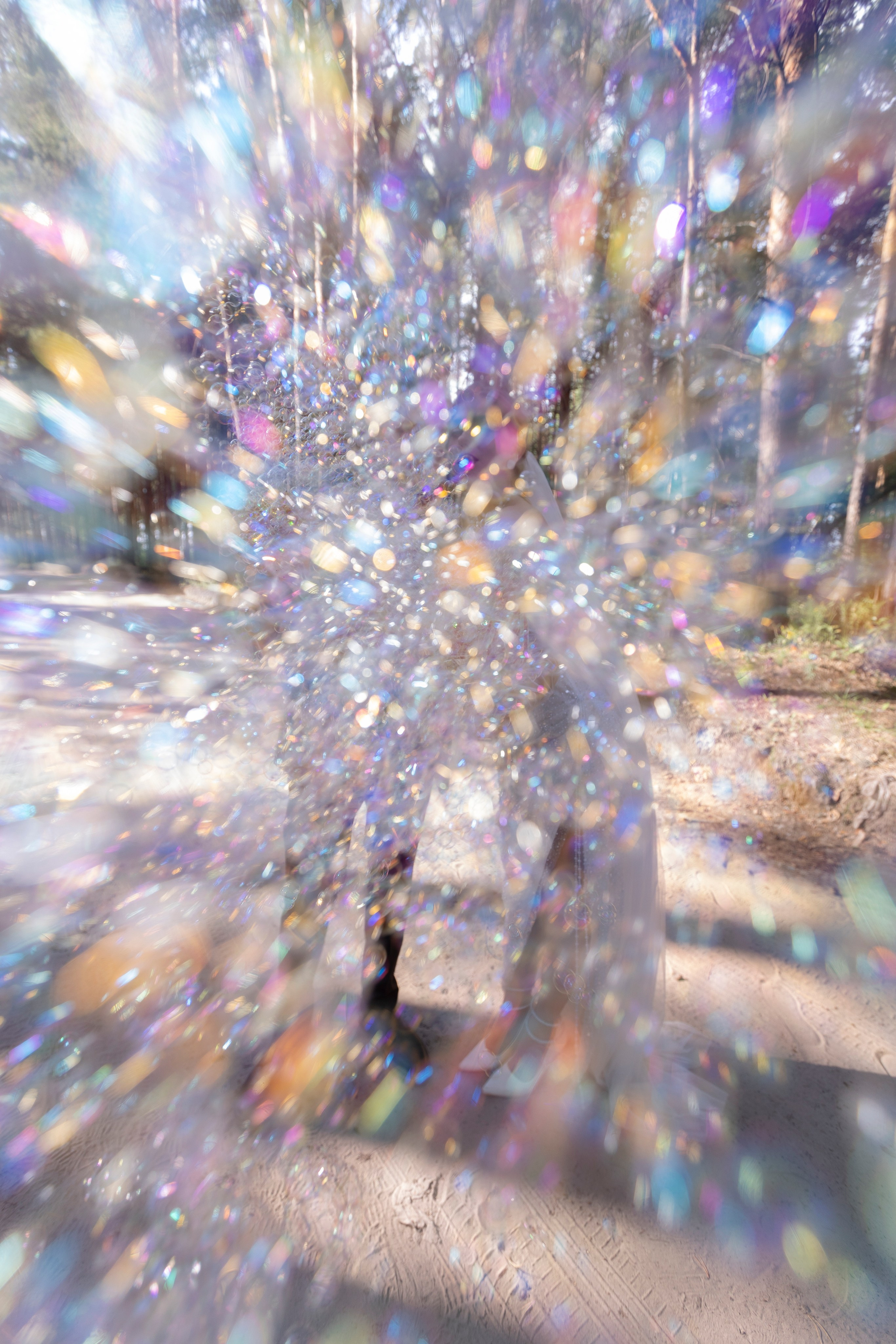 Дарья & Денис. Свадебный фотограф Наталья Молявина