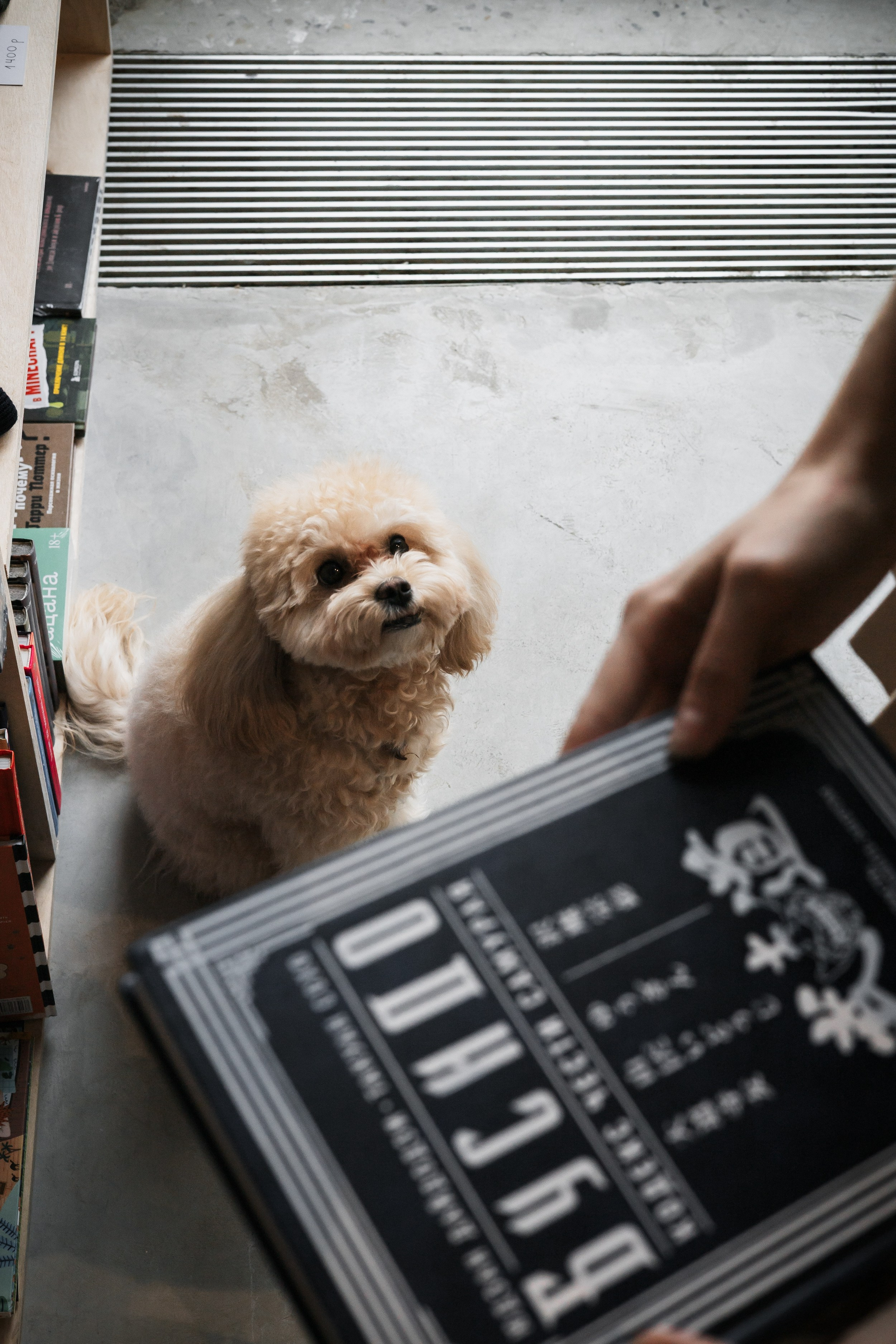 Алина — прогулка