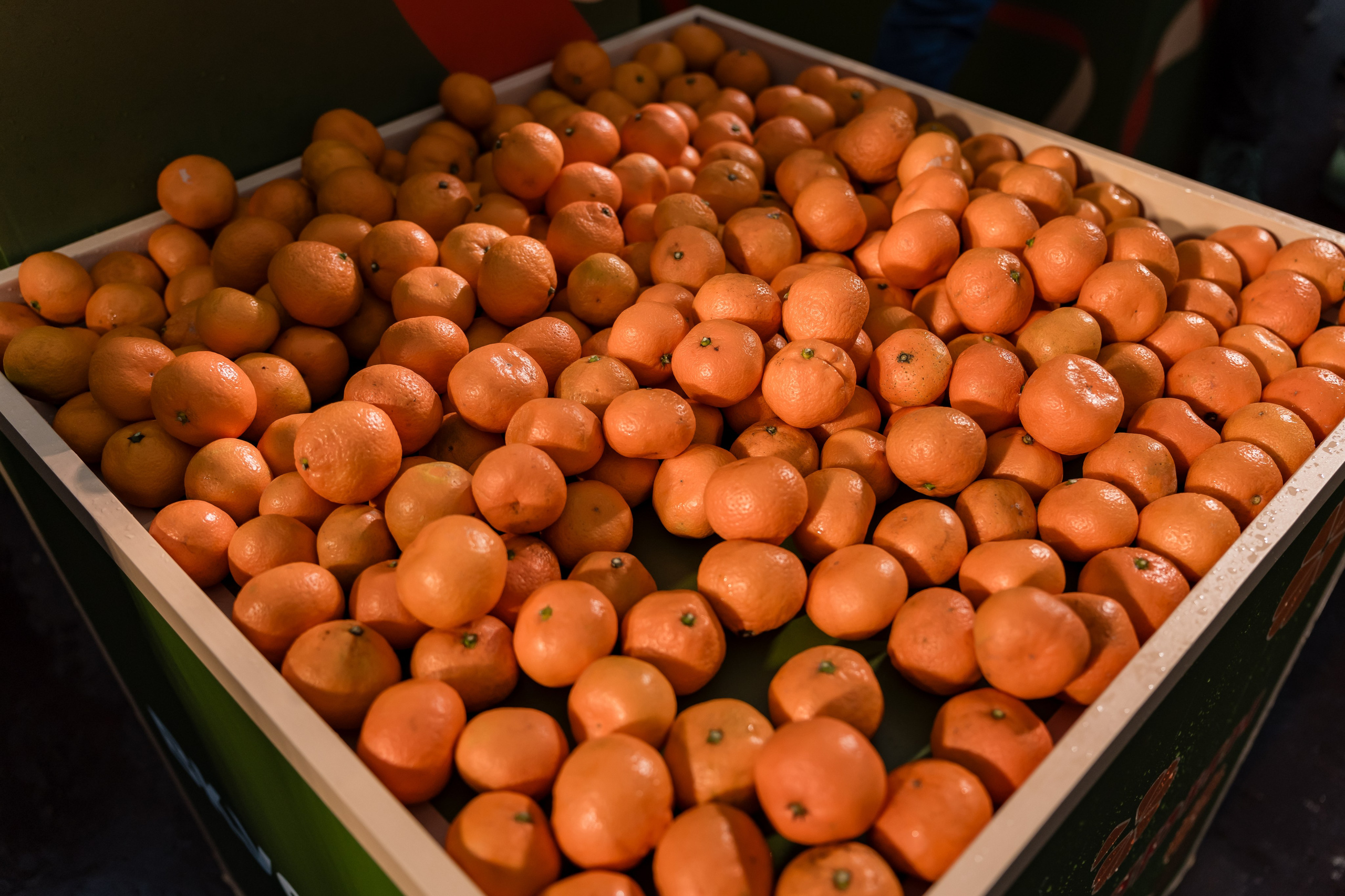 Конкурс Мандарин. Финал. Сокольники. 08.01.2025