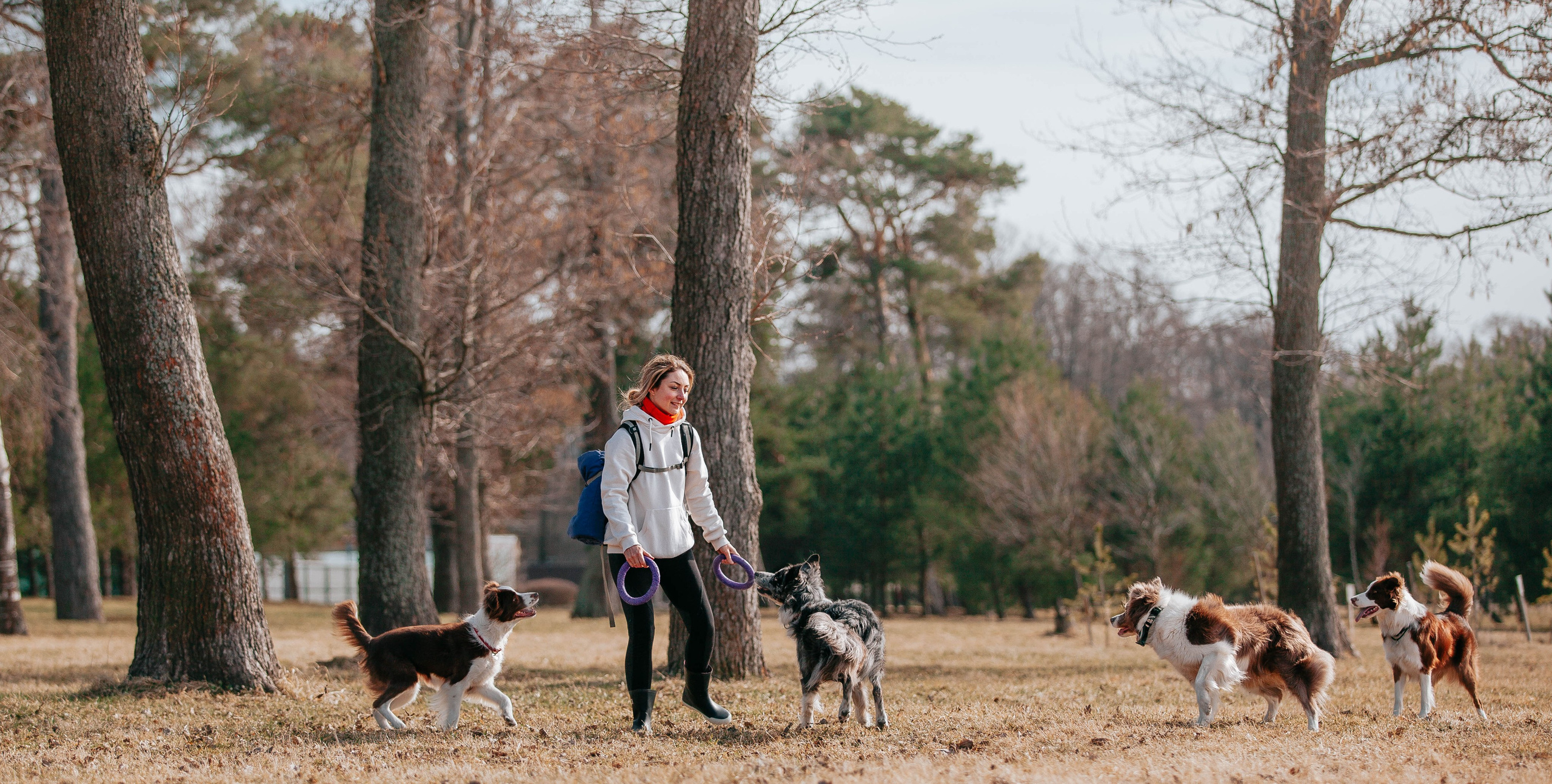 Бордюха, Лора, Берта, Мета. Главная