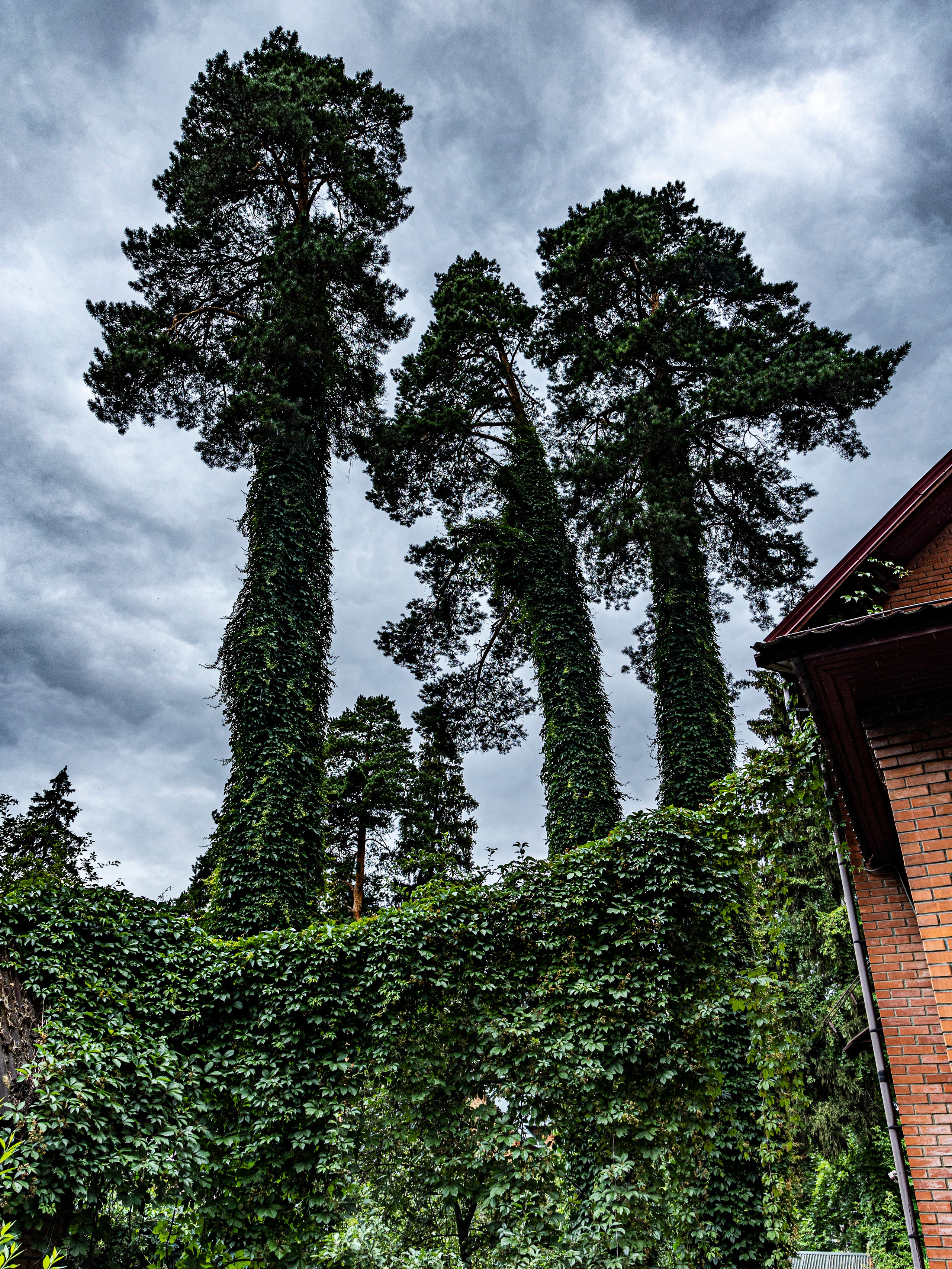 Фотограф Татьяна Марсуверских г. Жуковский, Москва и Мо. Репортажные съёмки, фотосессии. Детский, семейный фотограф. Фотограф для маркетплейсов, фотоуслуги в Жуковском Татьяна Марсуверских