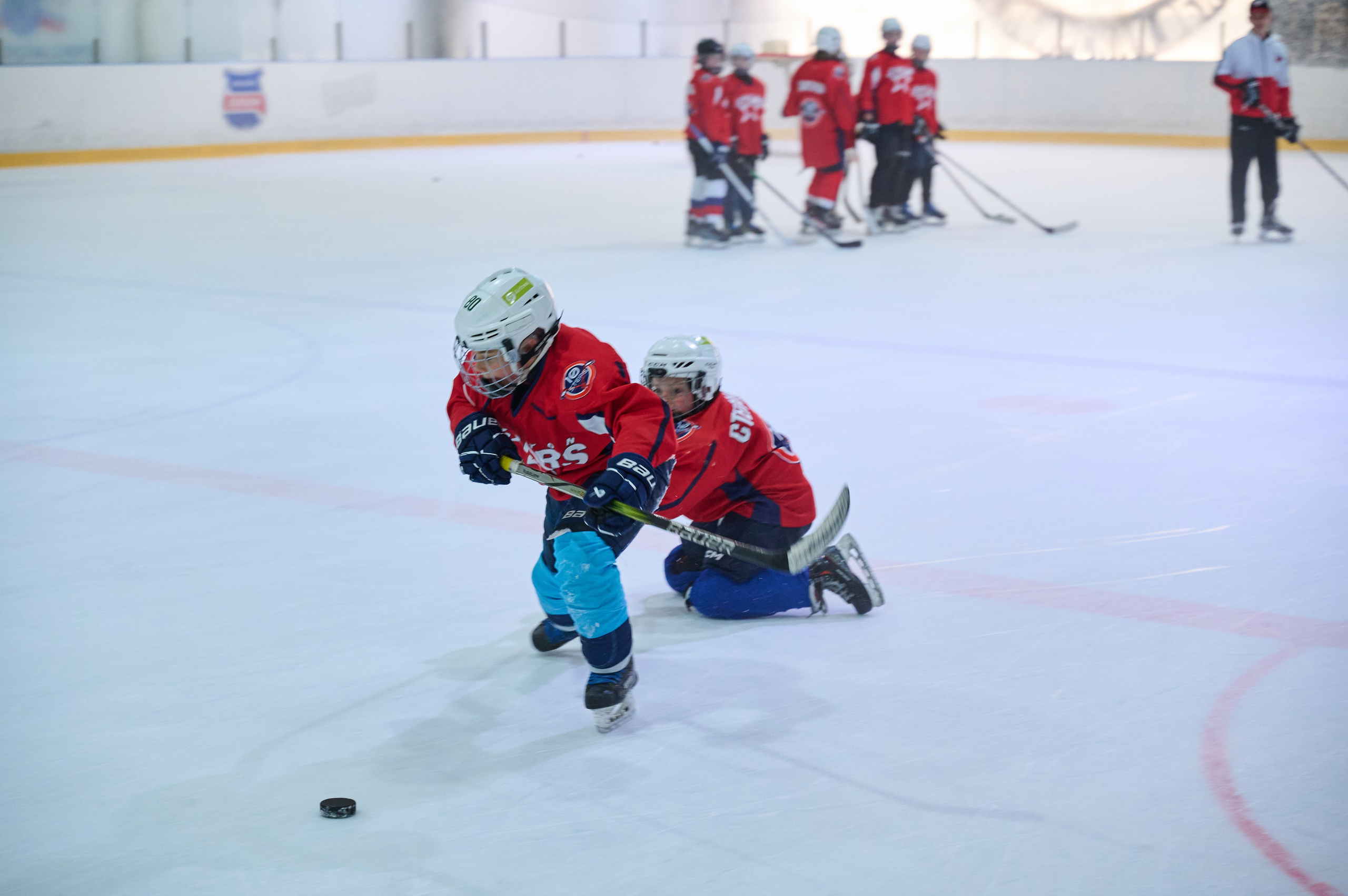 Boston Stars. Фотограф Универсал в Новосибирске