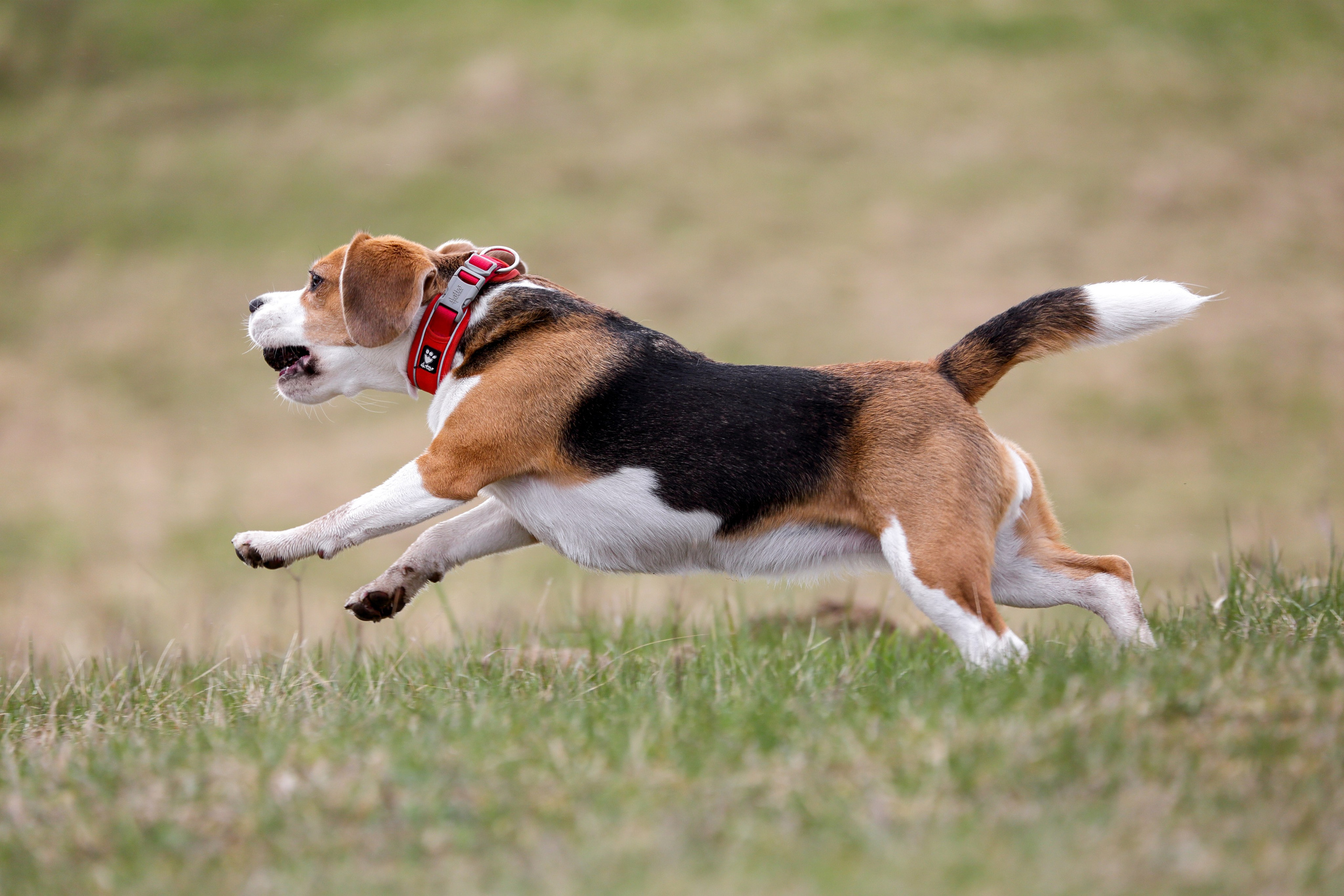 Lure Club май 2024. Irenephoto.ru