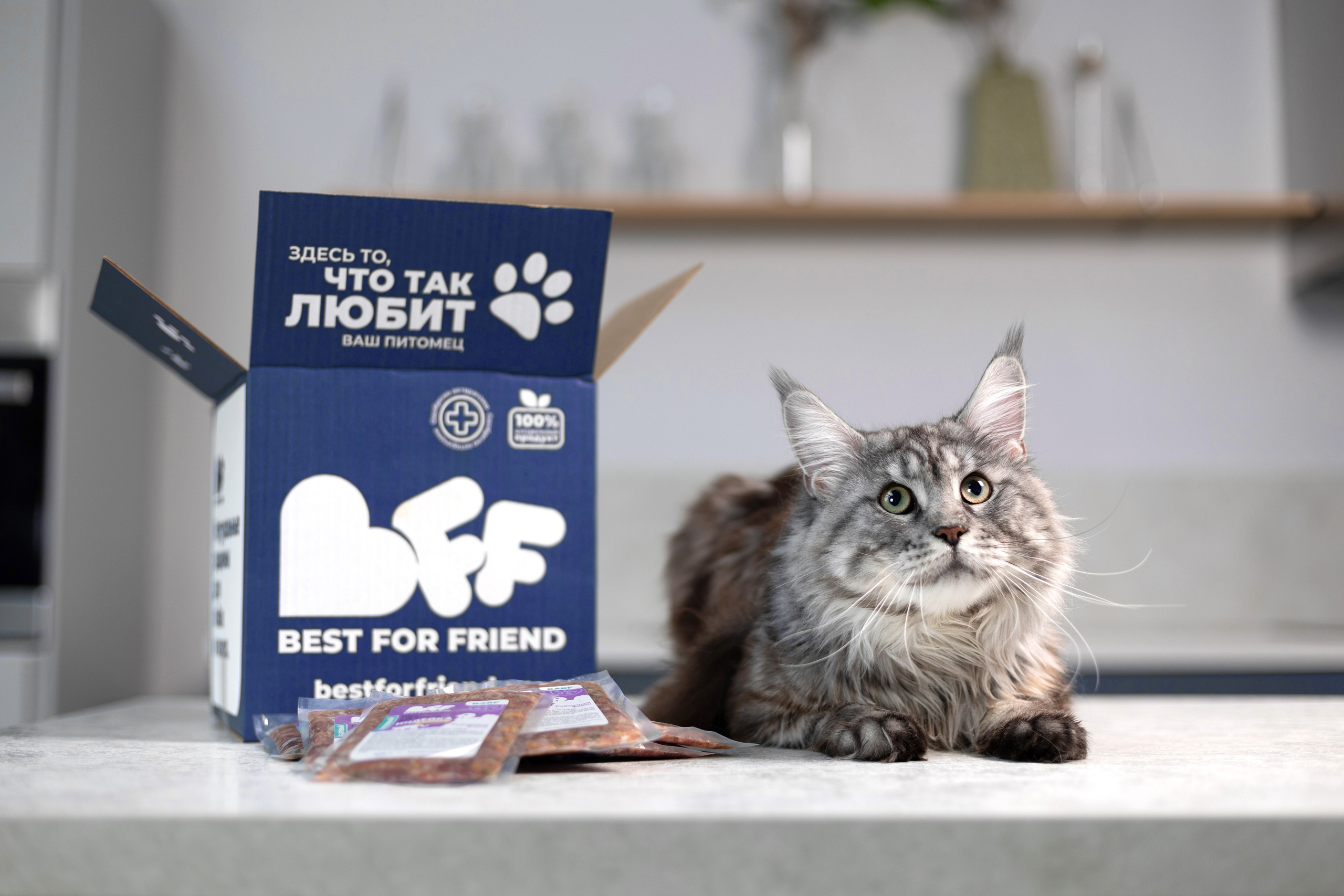 Best for friend (BFF). Фотограф анималист Кристина Карпова, Москва