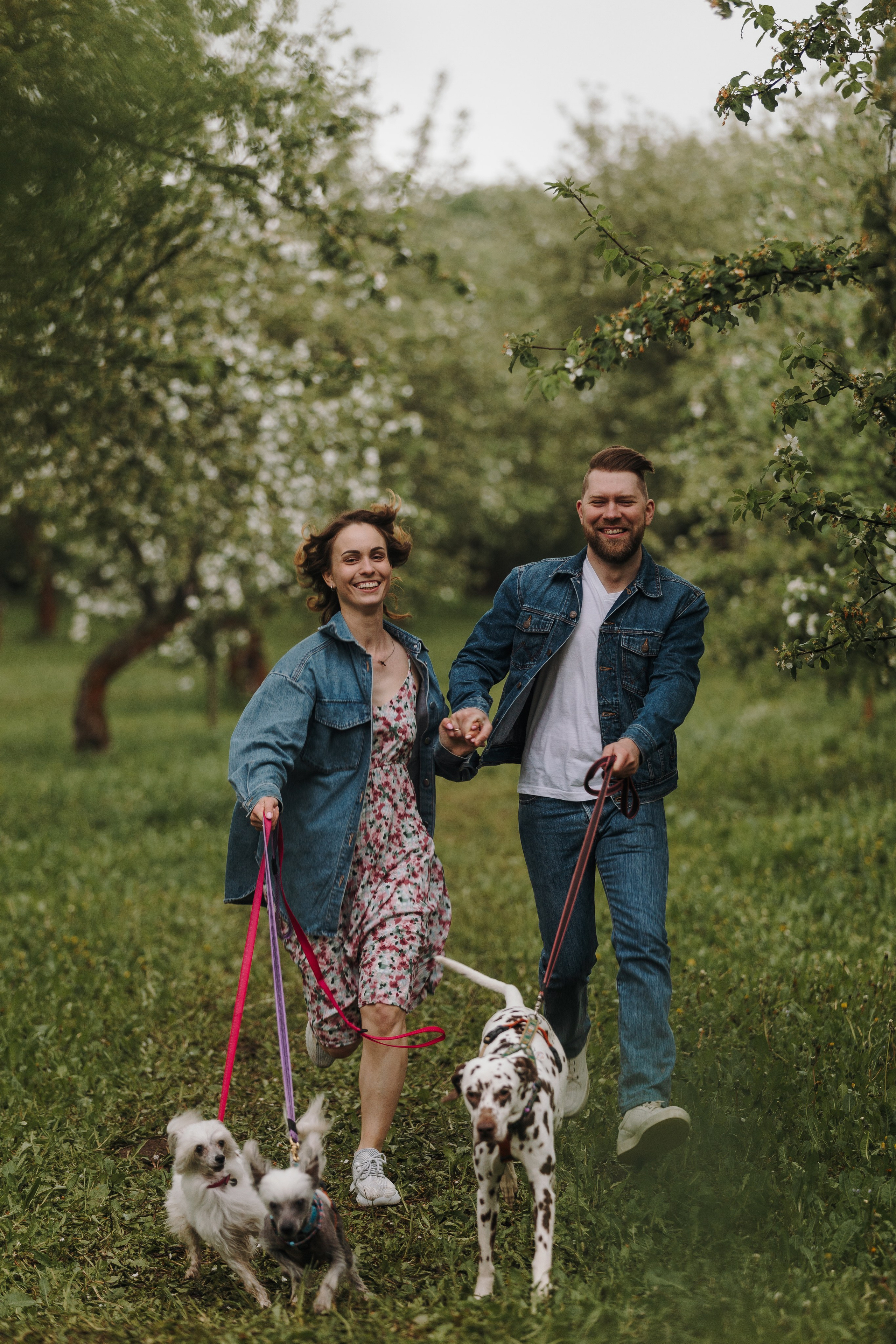 Лили, Уся, Вика и их семья. Фотограф анималист Кристина Карпова, Москва