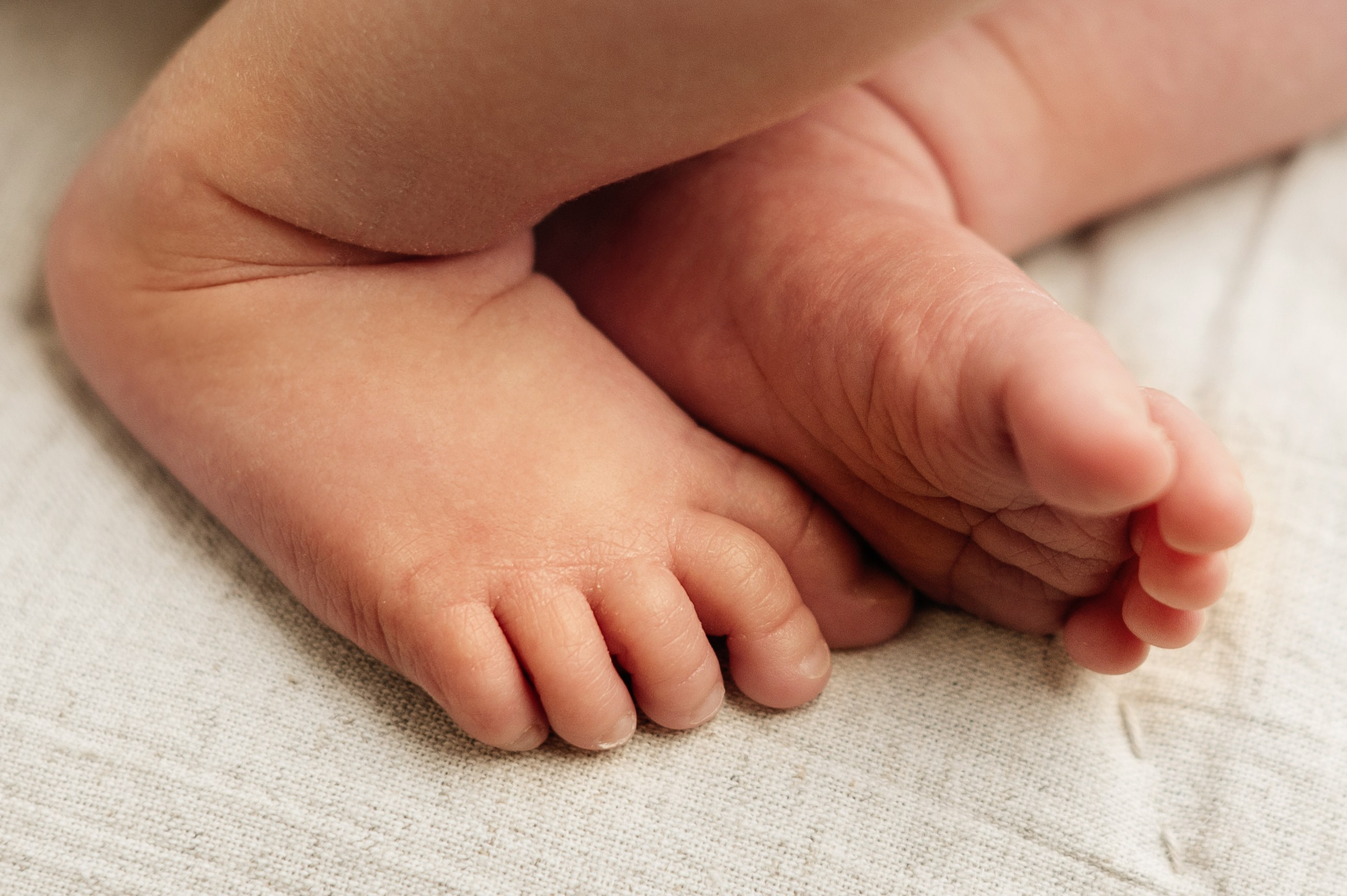 Василиса. Свадебный и семейный фотограф Кореновск/Краснодар