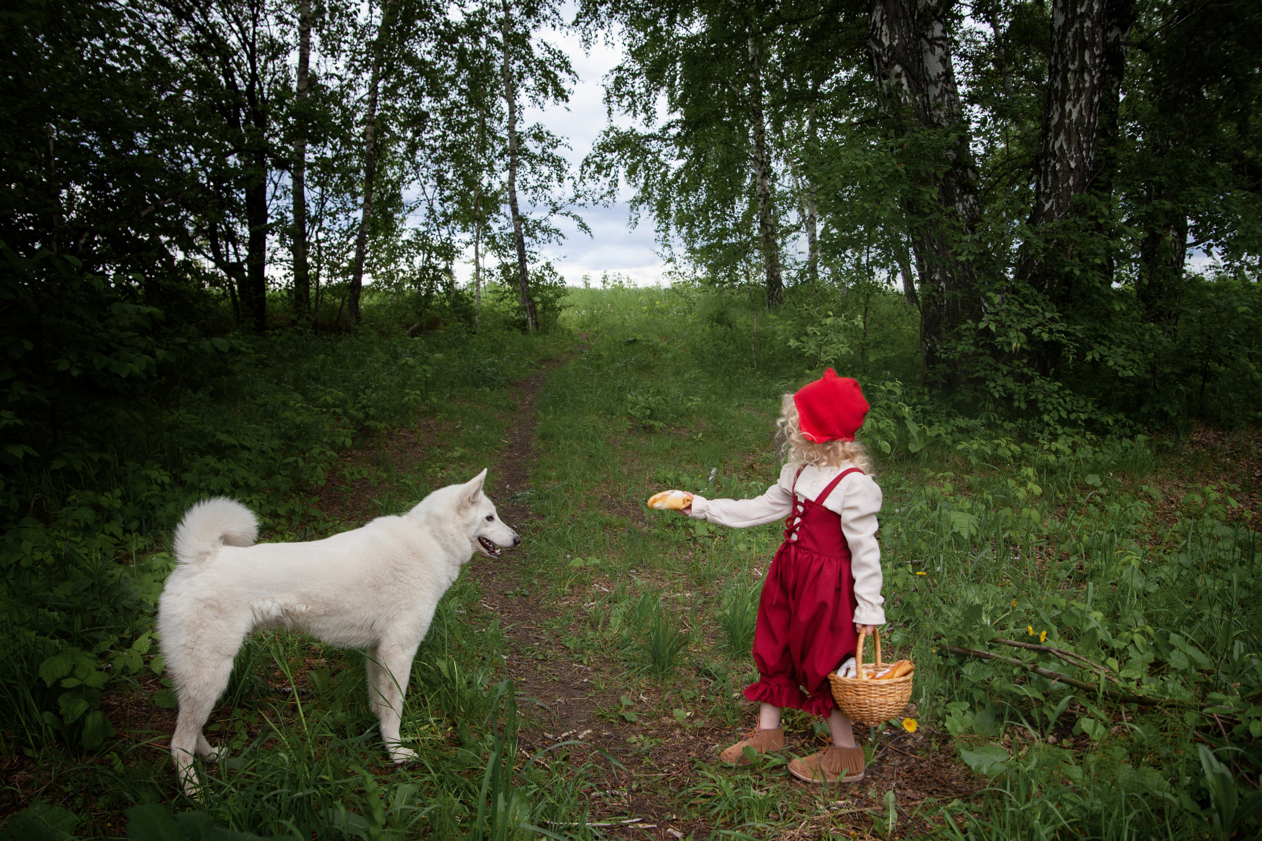 Красная шапочка. Детский и семейный фотограф в Бердске и Новосибирске Дарья Гребнева