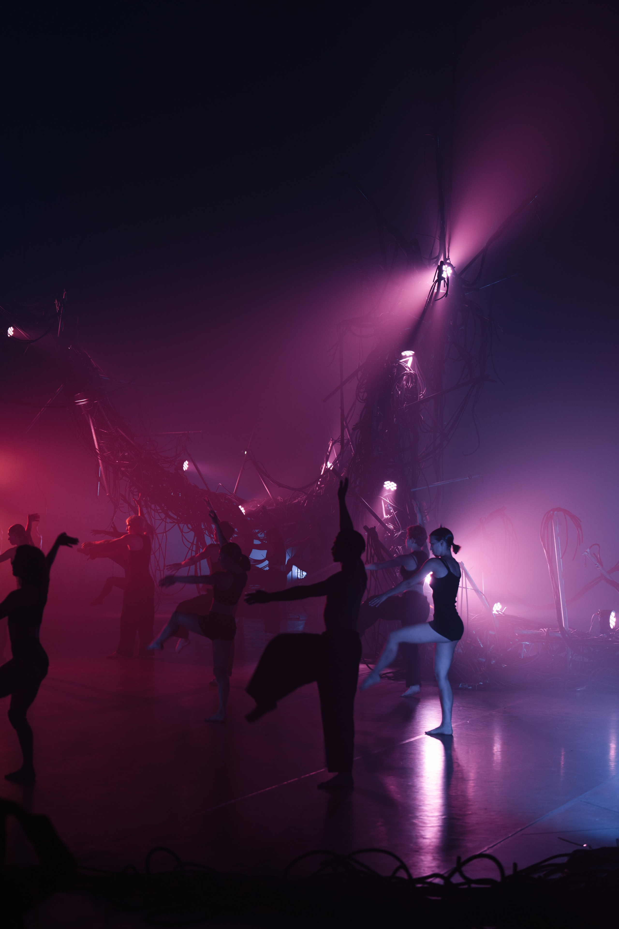 PERFORMA, The Hour of the Horse. @tomrus: Рустам Шагиморданов — фотограф