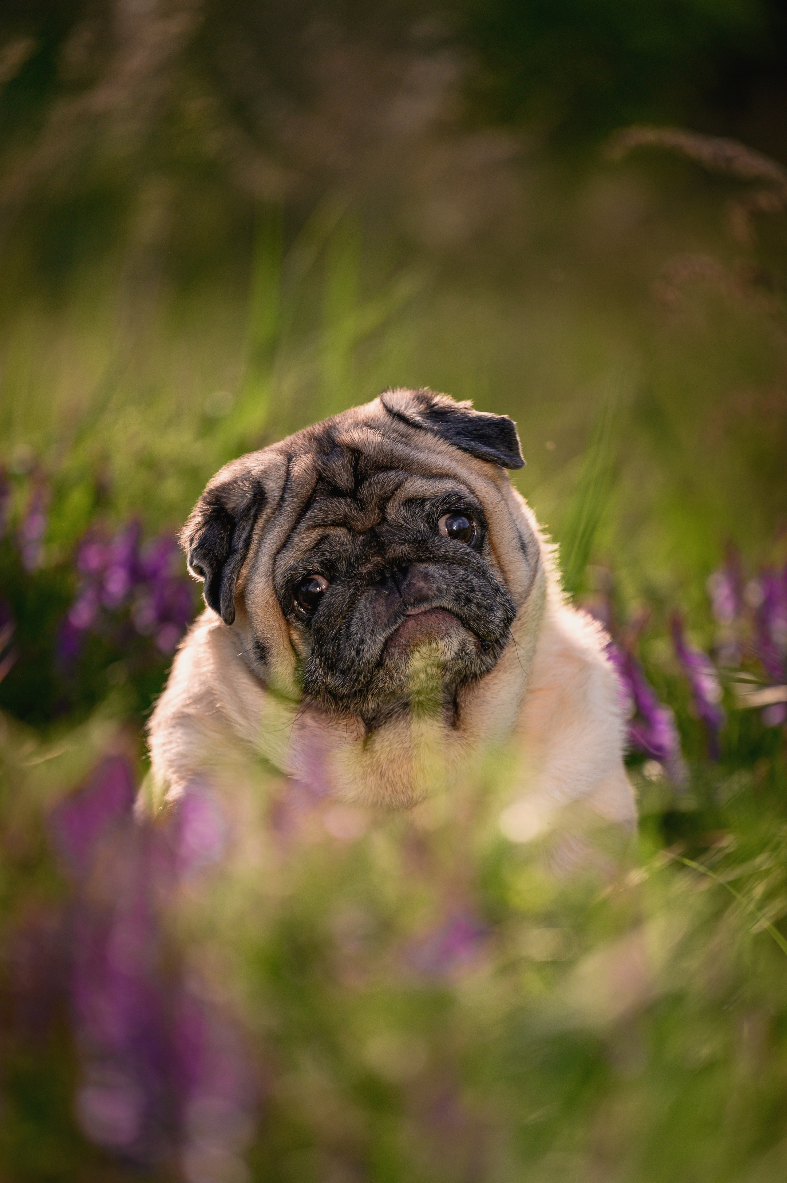Весенняя прогулка. Фотограф в Ростове —на — Дону