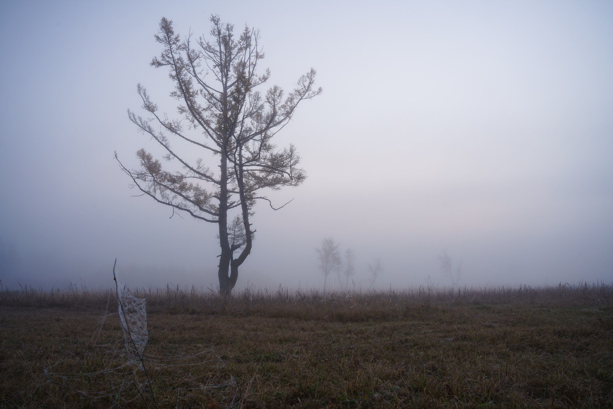 Бурятия. Фотограф в Красноярске Нерозя Александр. Пейзаж, природа, портрет