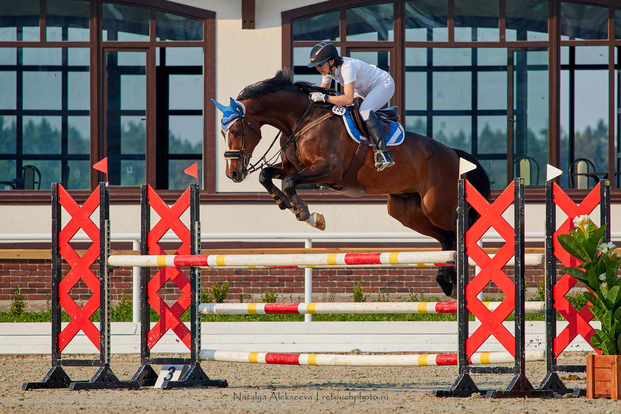 Командный Чемпионат России по конкуру, Maxima Stables | 07'2019. Репортажный фотограф и ретушер в Москве Наталья Алексеева