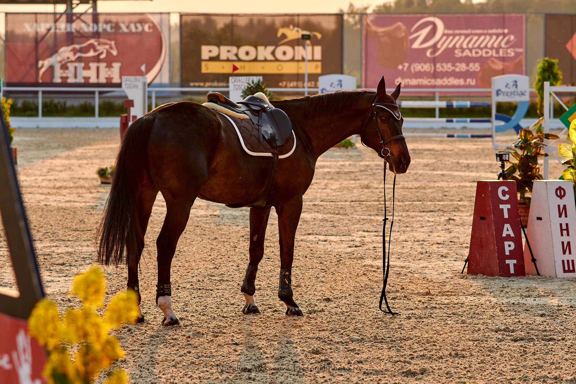 Командный Чемпионат России по конкуру, Maxima Stables | 07'2019. Репортажный фотограф и ретушер в Москве Наталья Алексеева