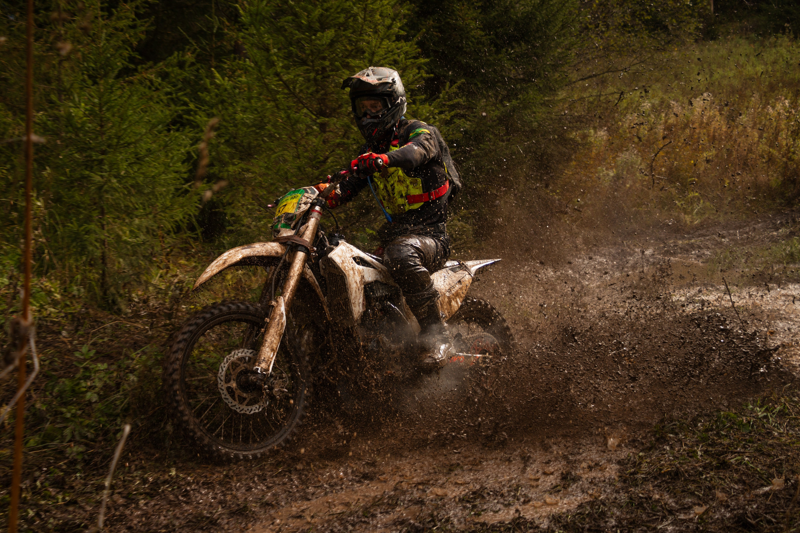 Путь Ижика. 2024. Олег Романов. Мастер фото по спорту