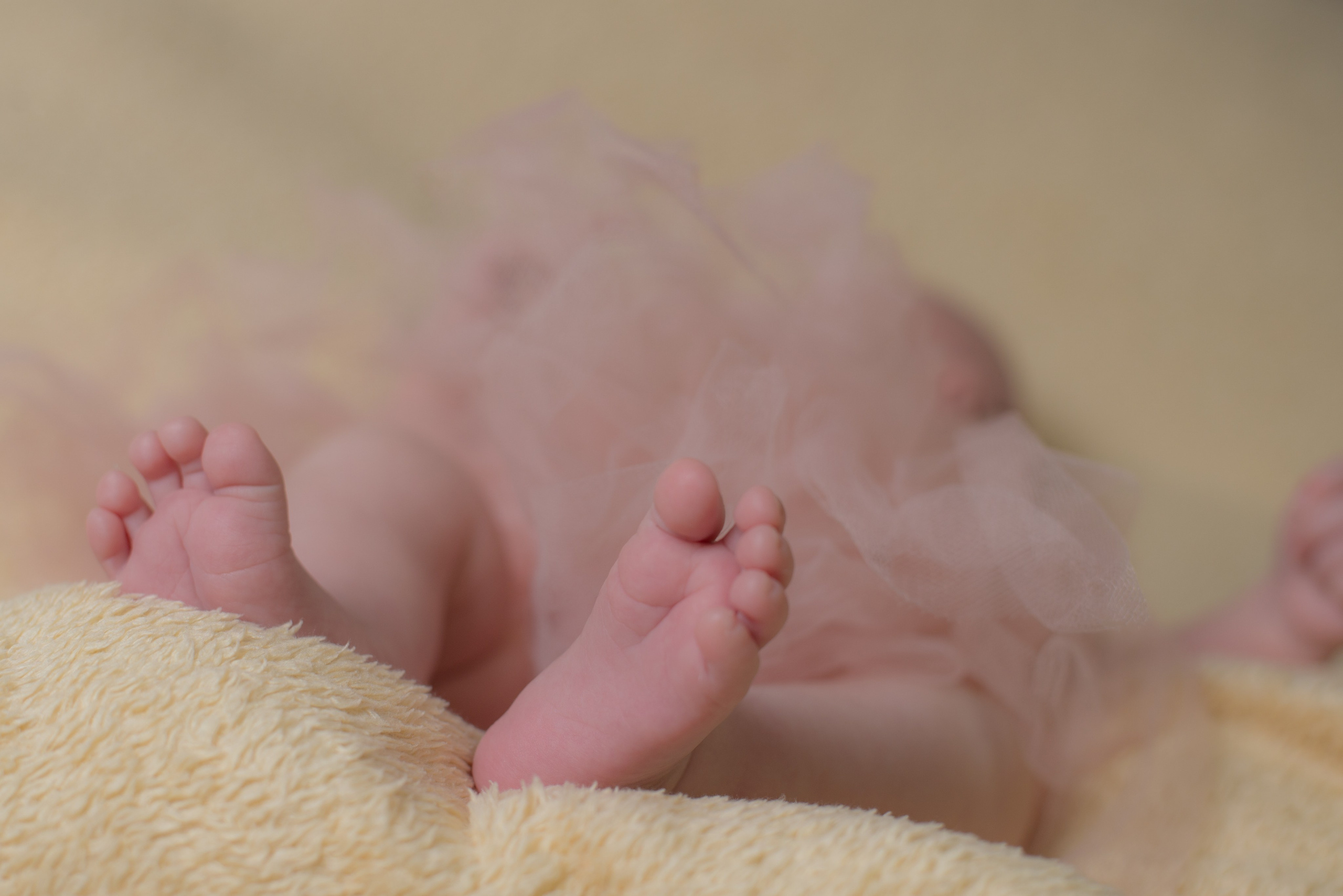 Newborn | New hope. Bekagaev photography